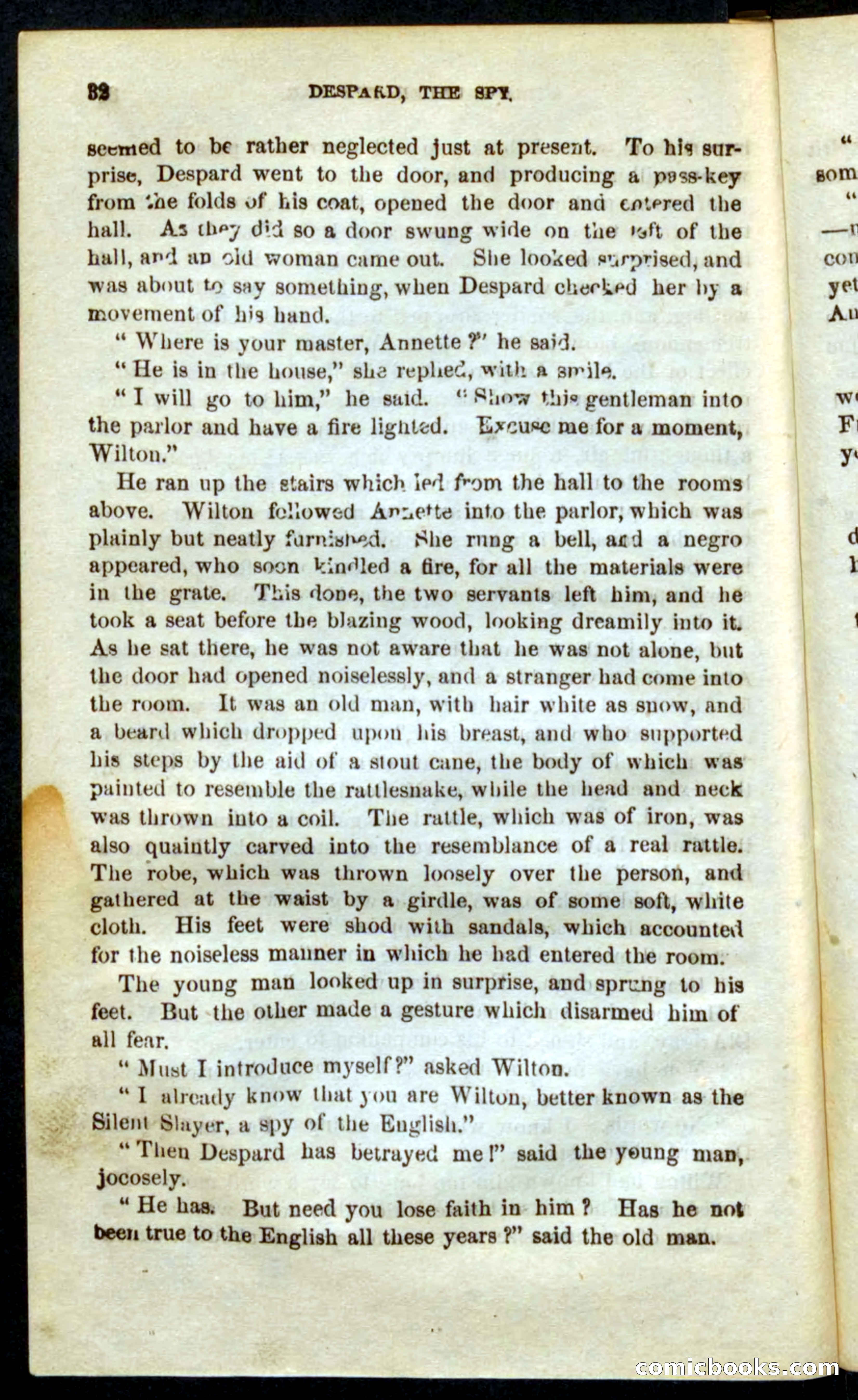 The French Spy — page 28 of 100