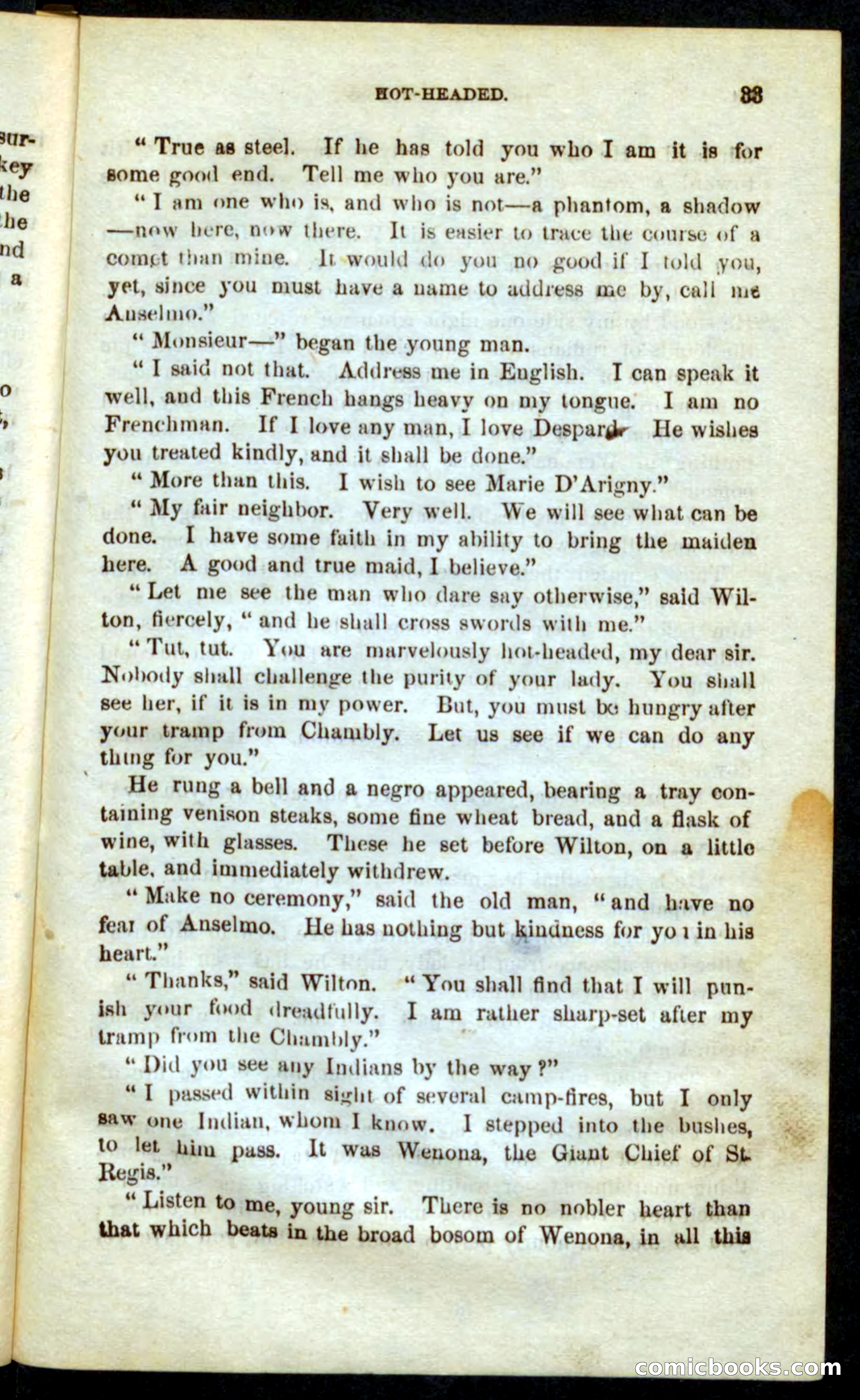 The French Spy — page 29 of 100