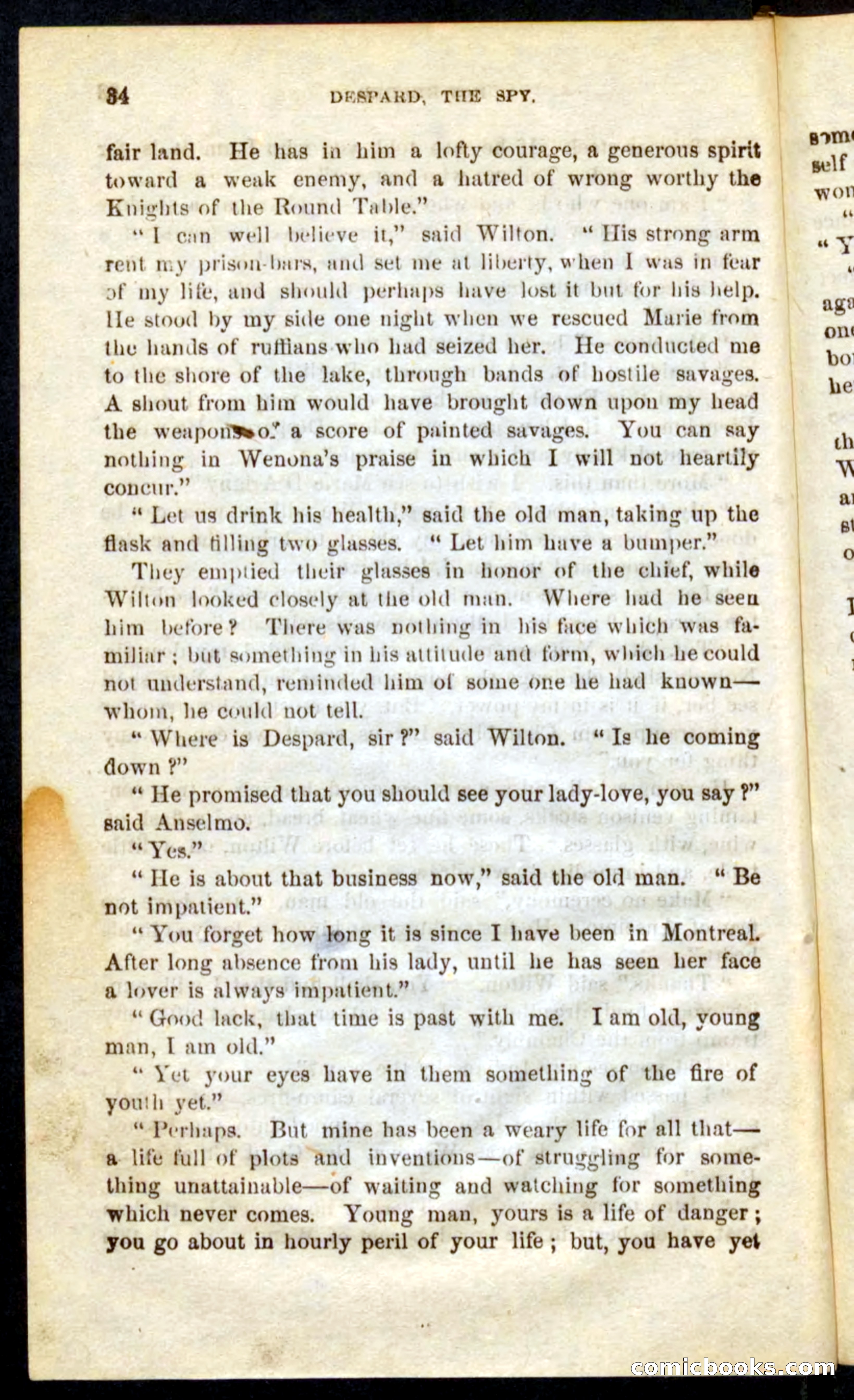 The French Spy — page 30 of 100