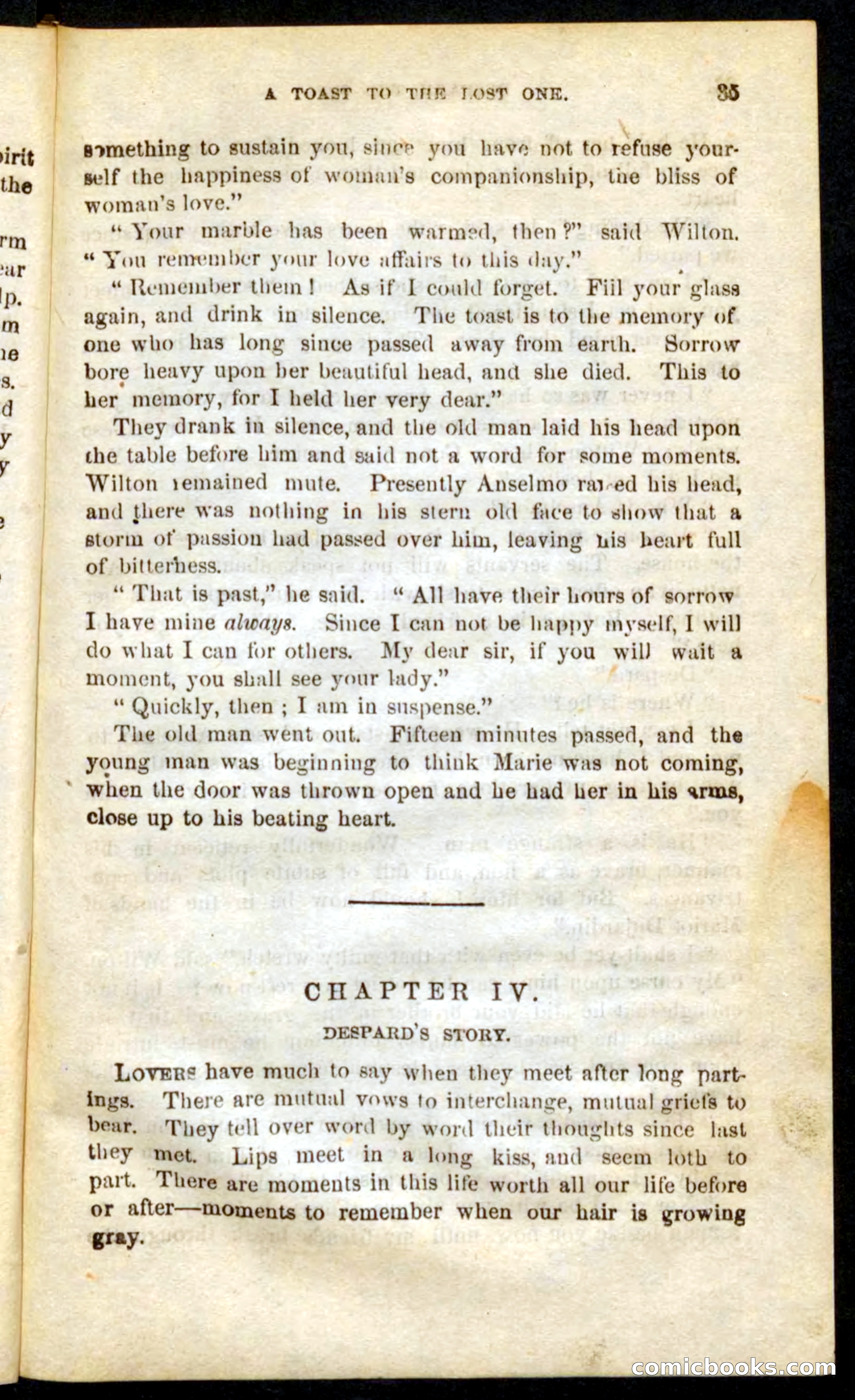 The French Spy — page 31 of 100