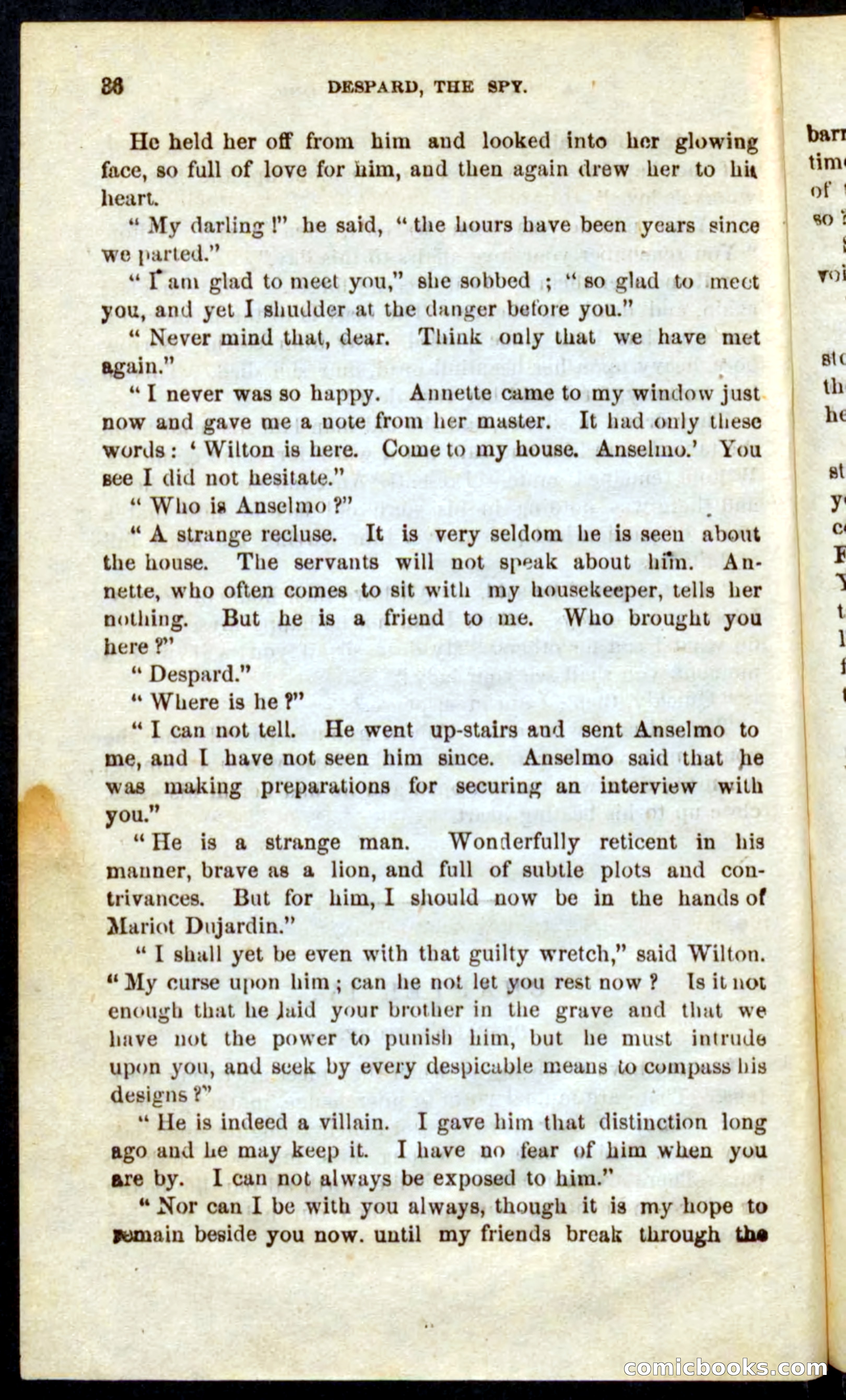 The French Spy — page 32 of 100