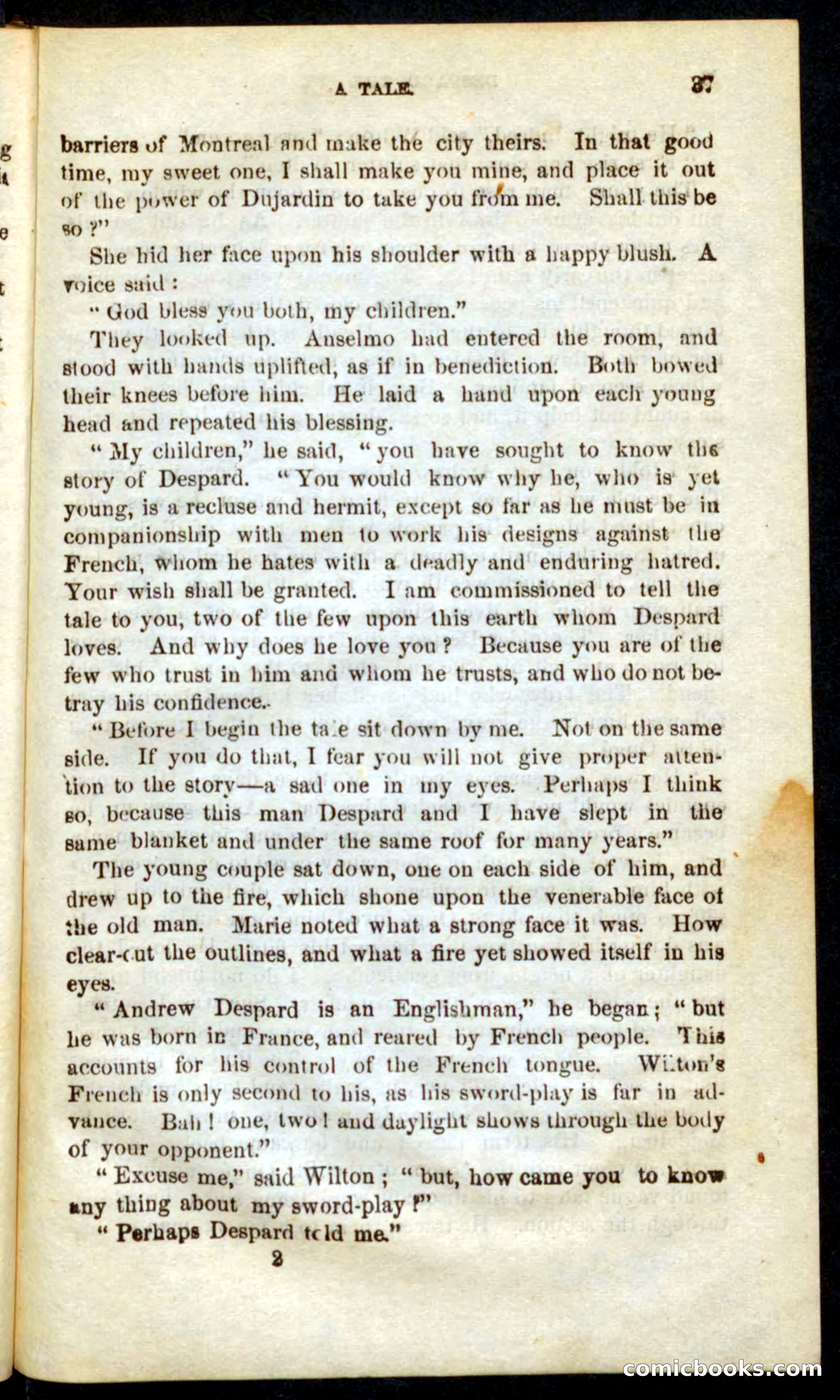 The French Spy — page 33 of 100
