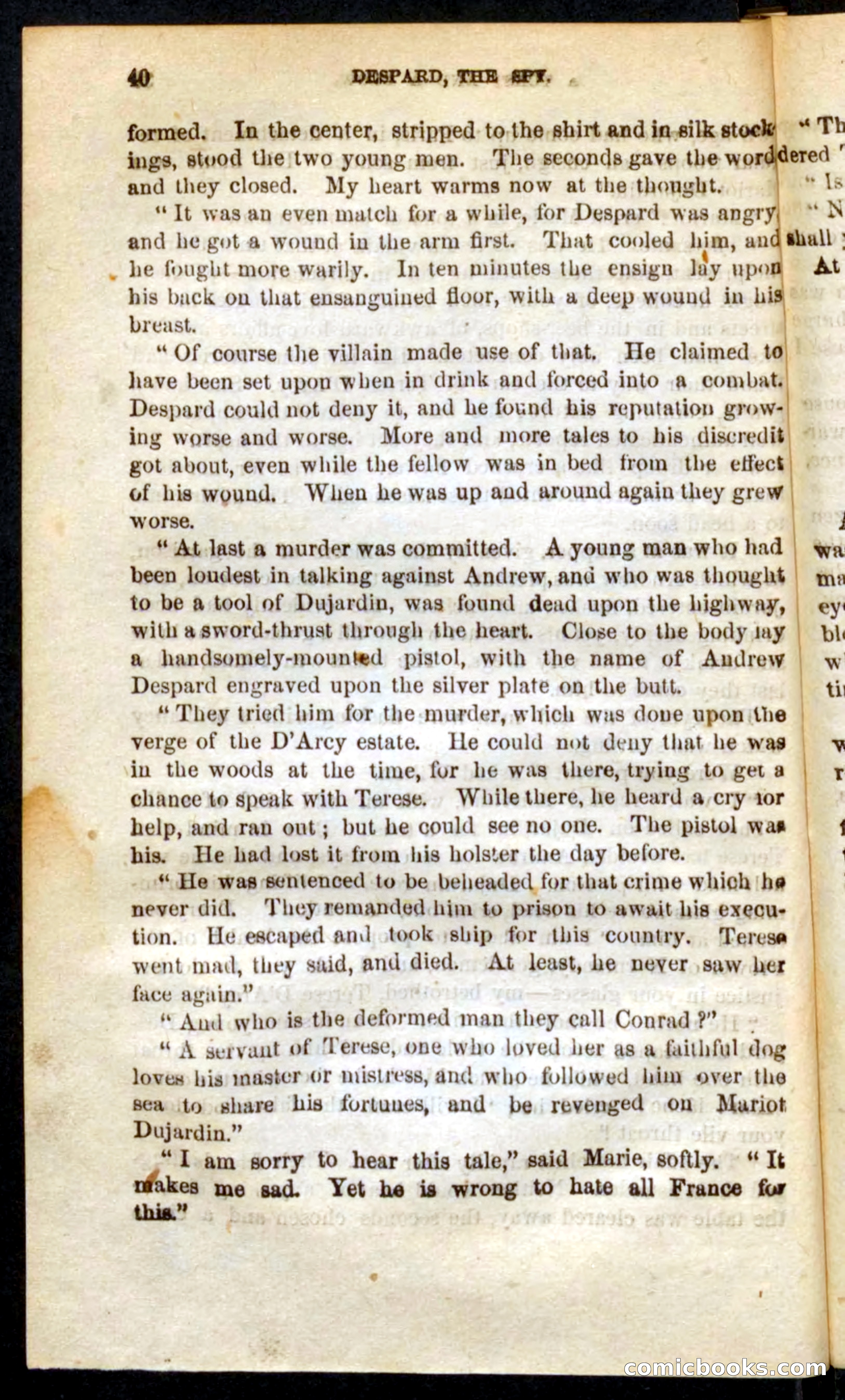 The French Spy — page 36 of 100