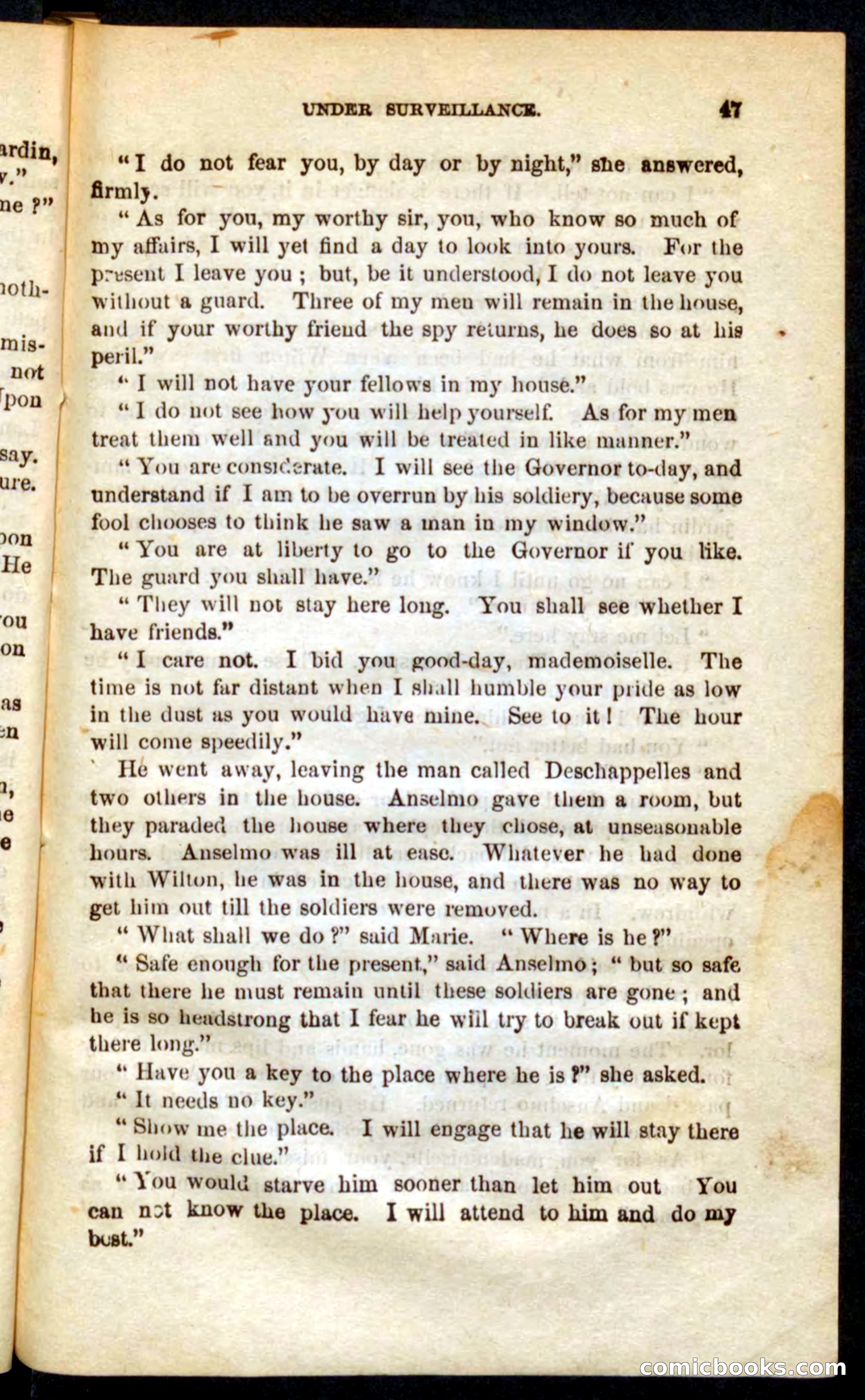 The French Spy — page 43 of 100