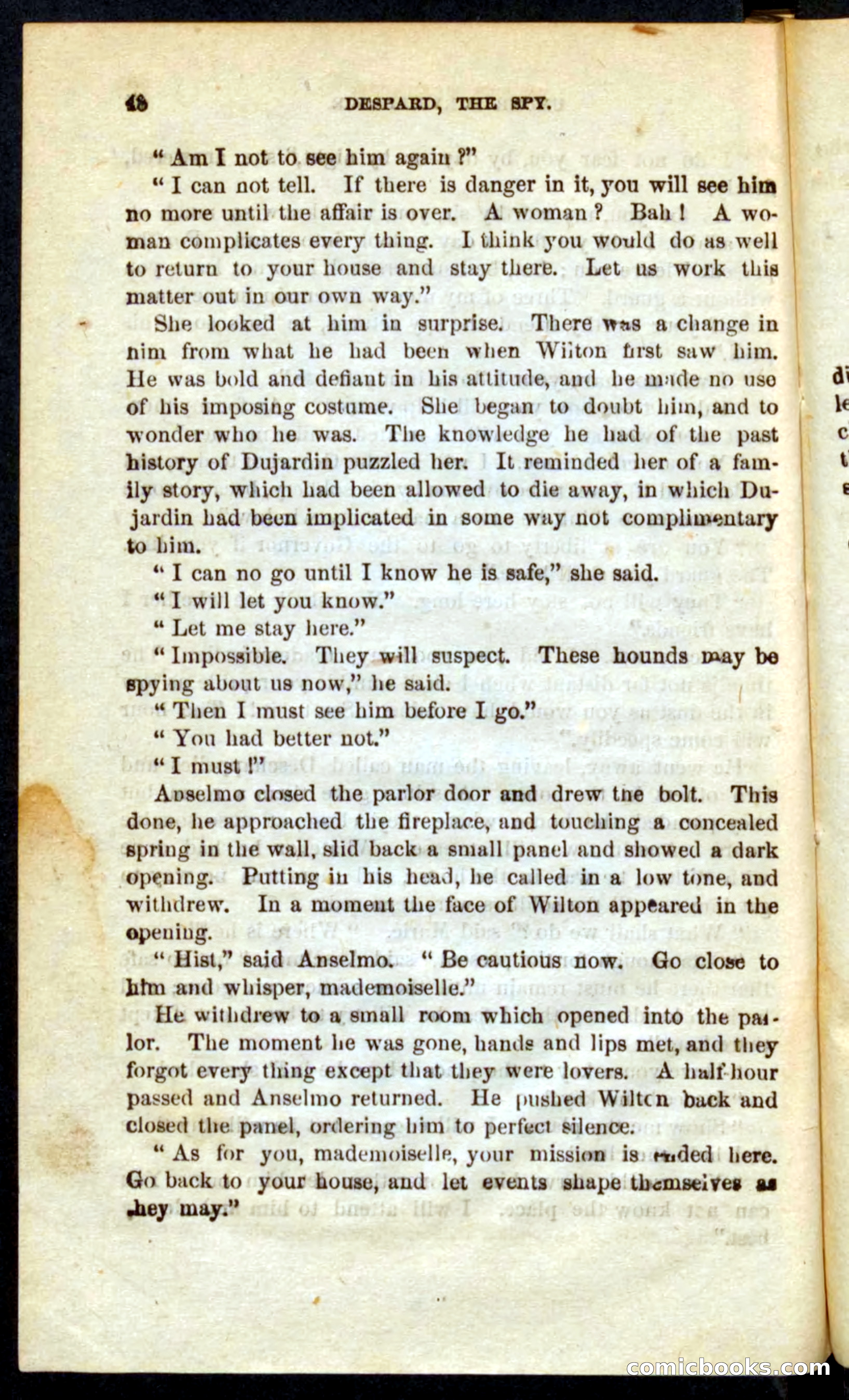 The French Spy — page 44 of 100