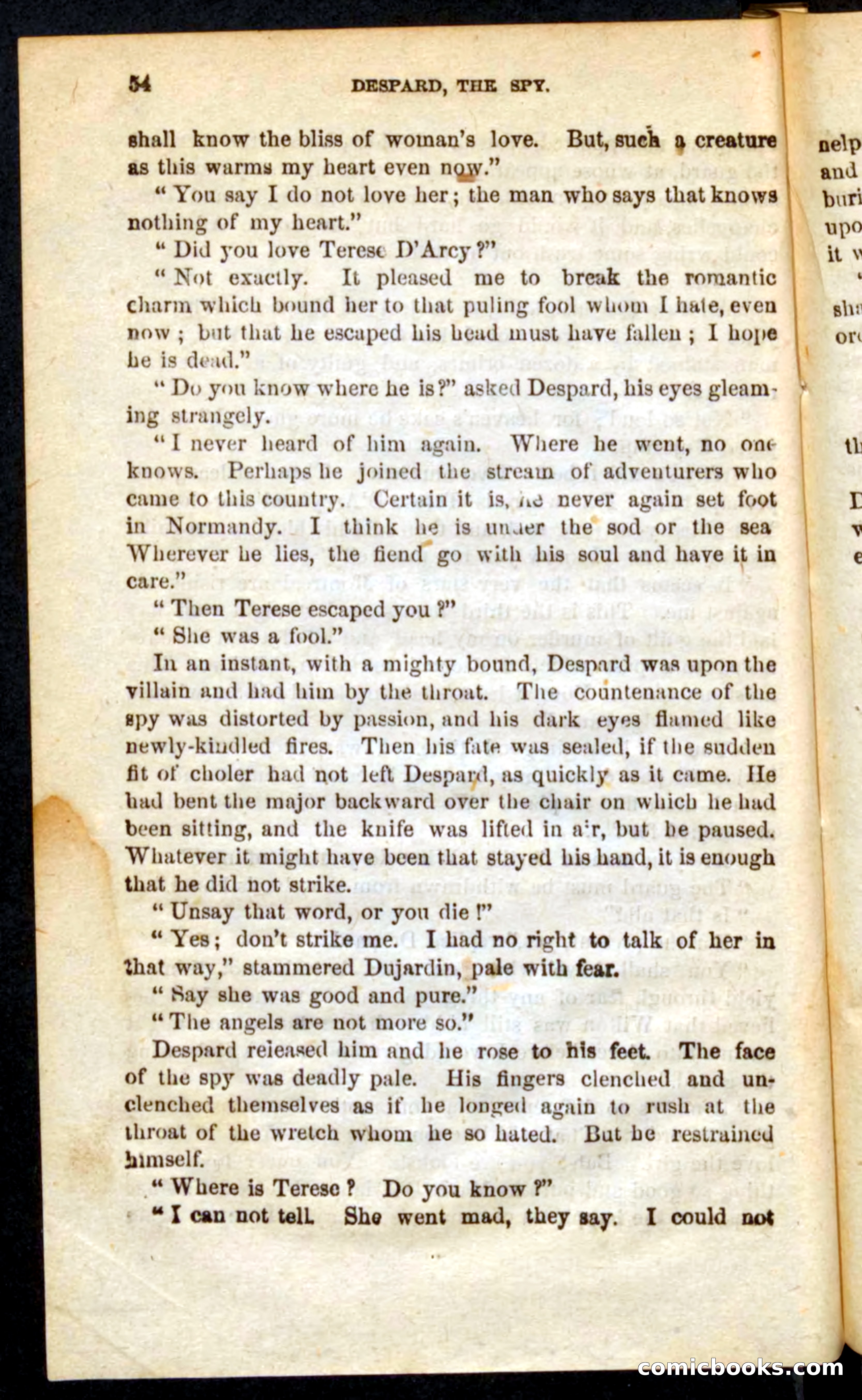 The French Spy — page 50 of 100