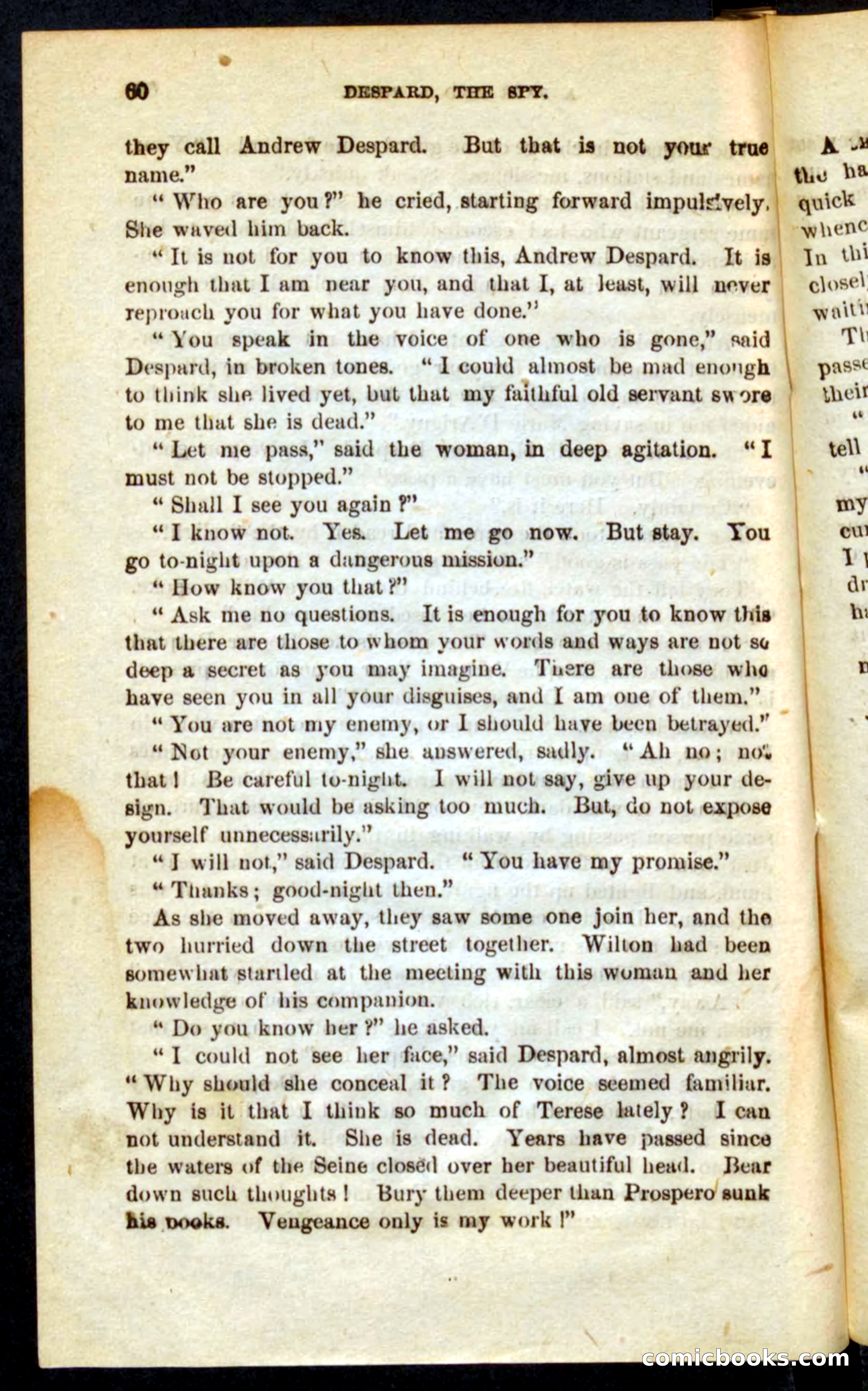 The French Spy — page 56 of 100