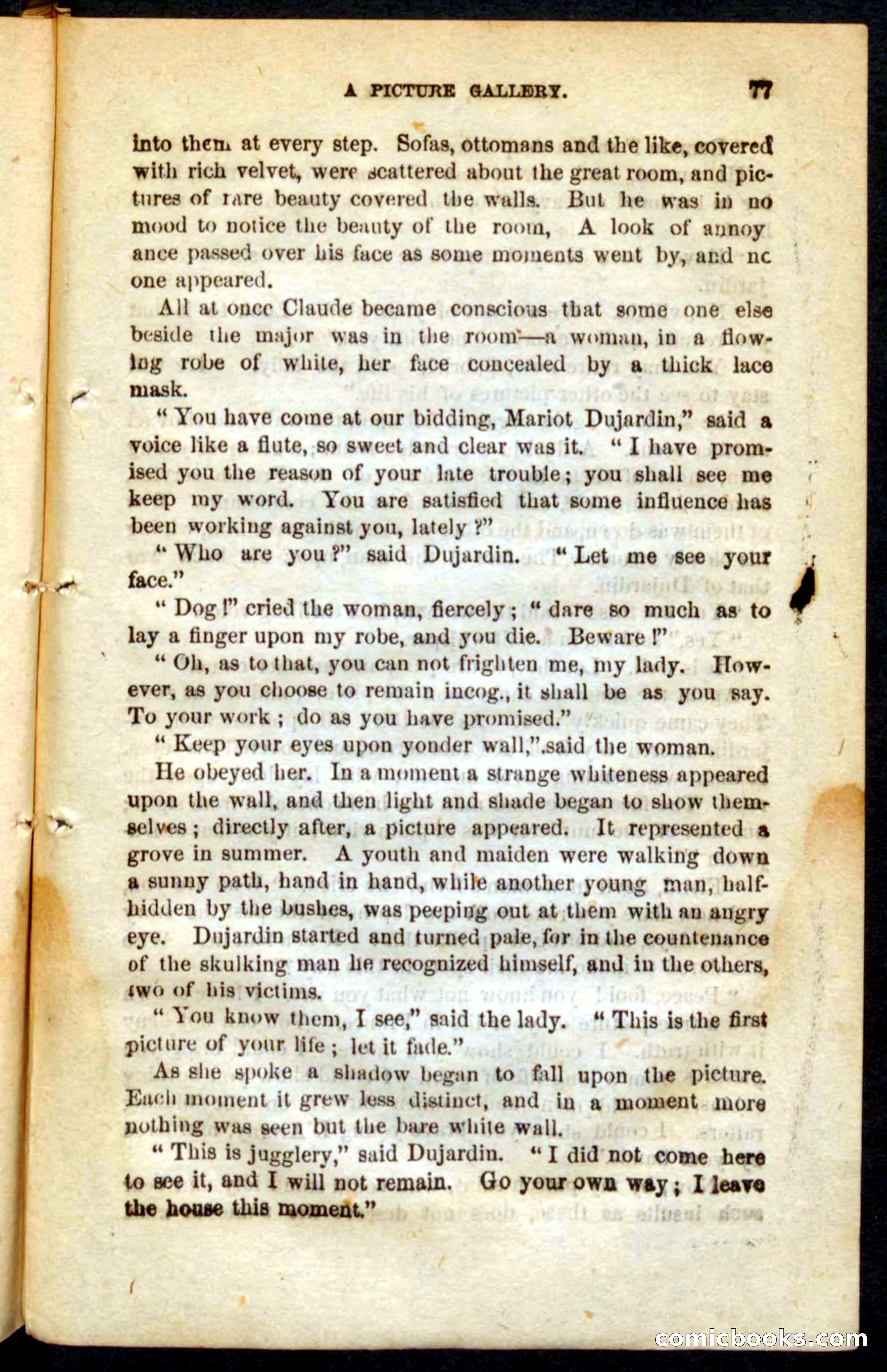 The French Spy — page 73 of 100