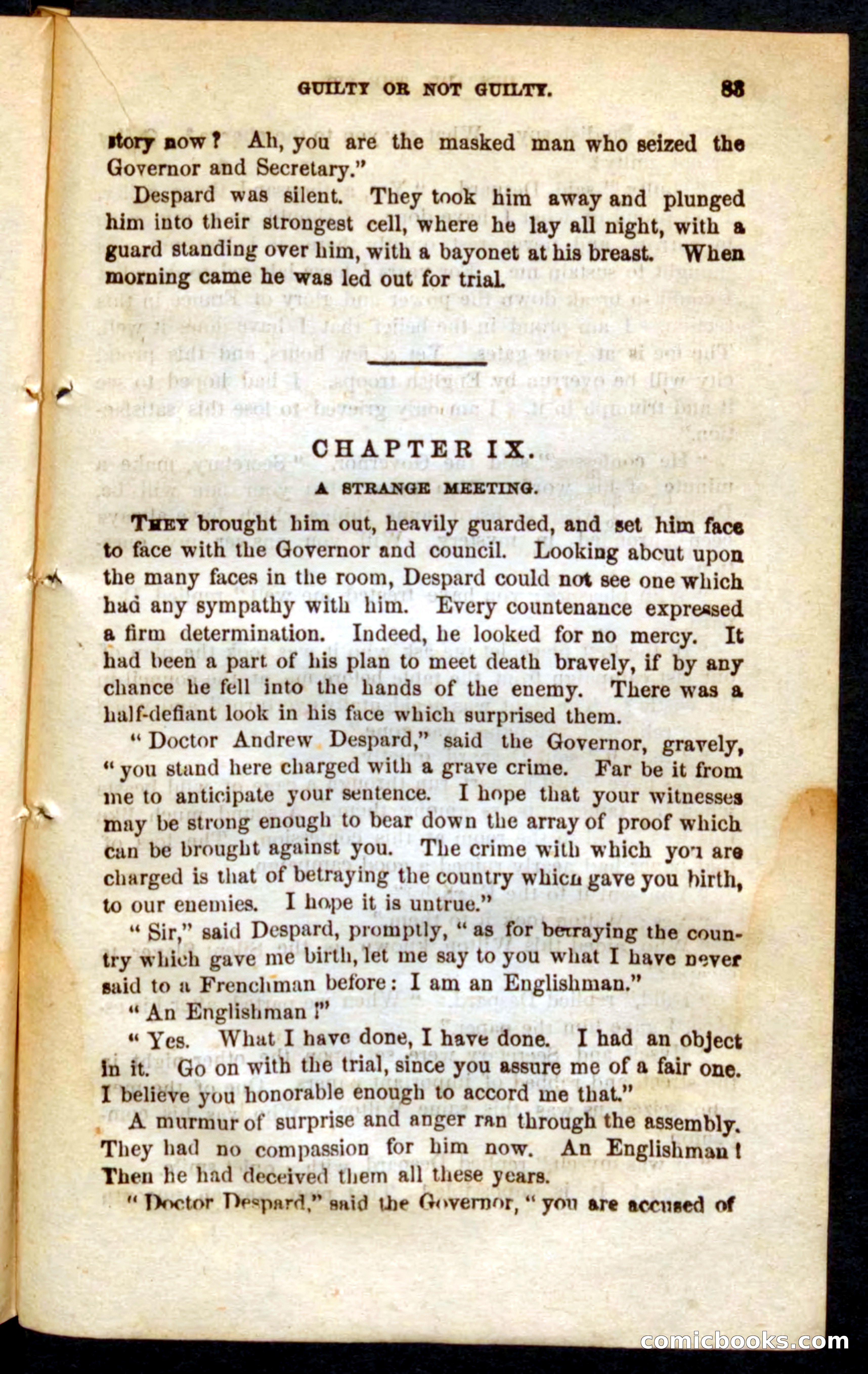 The French Spy — page 79 of 100