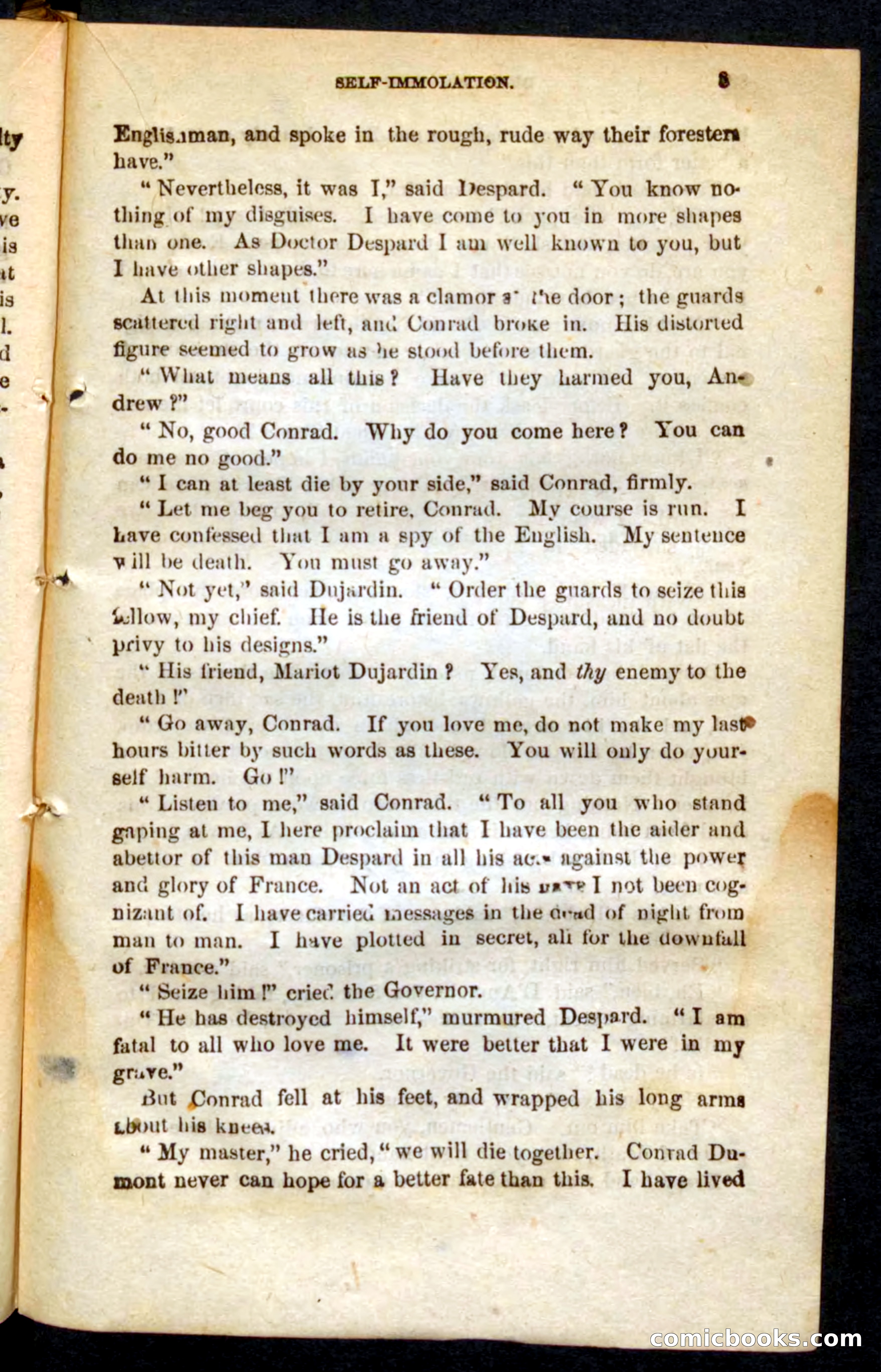 The French Spy — page 81 of 100