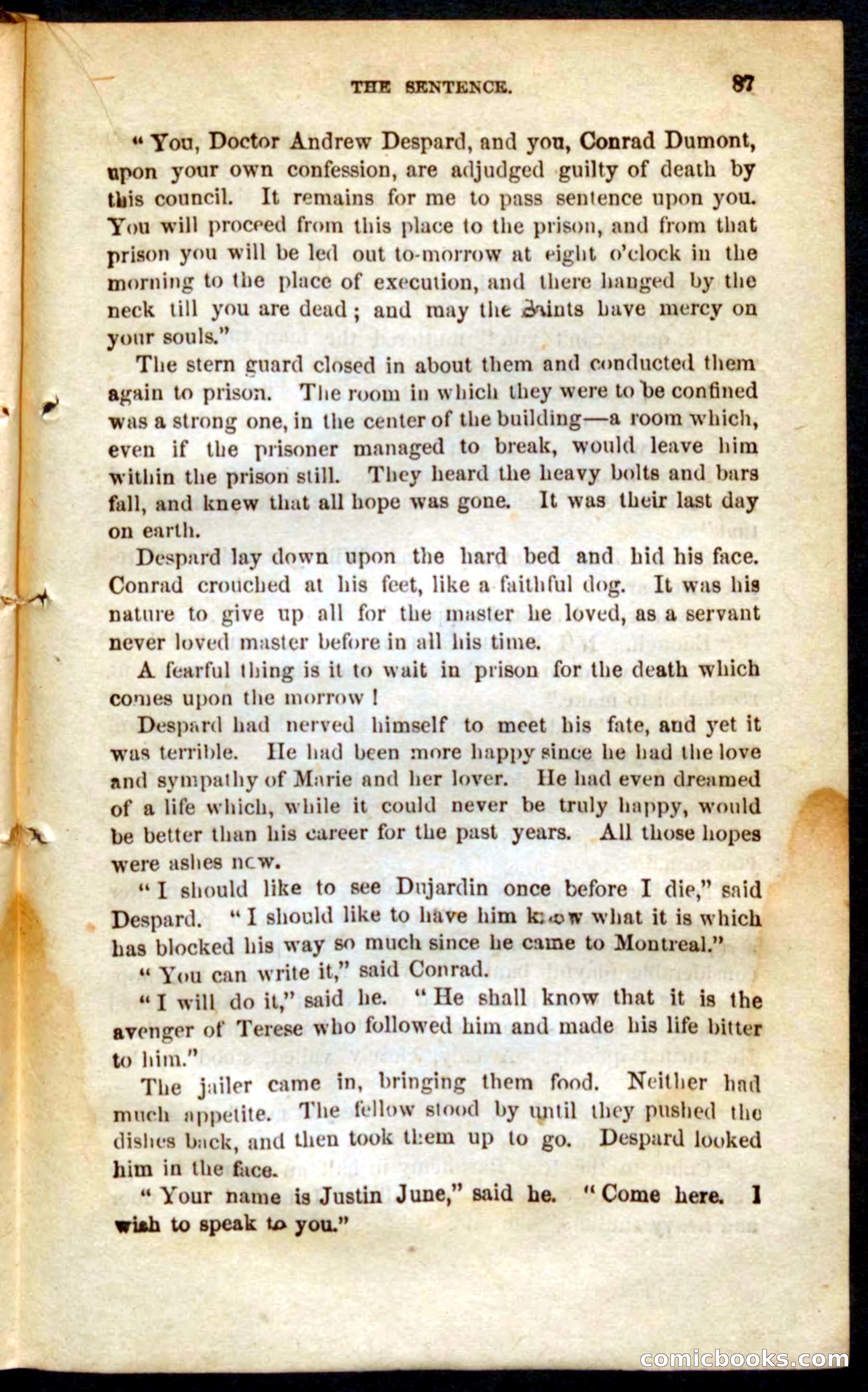 The French Spy — page 83 of 100