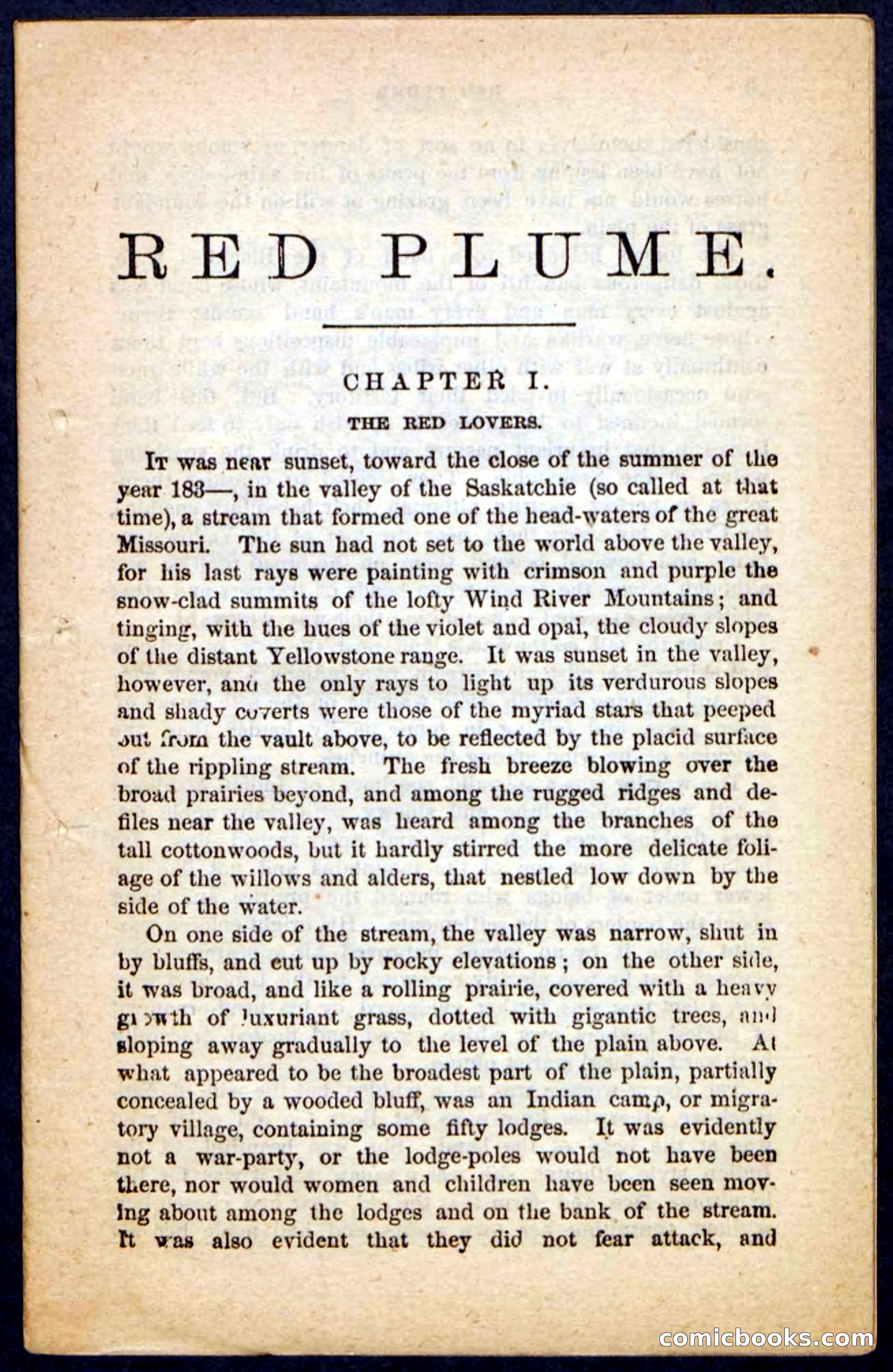 Beadle's Pocket Novels No. 131: Red Plume — page 5 of 98