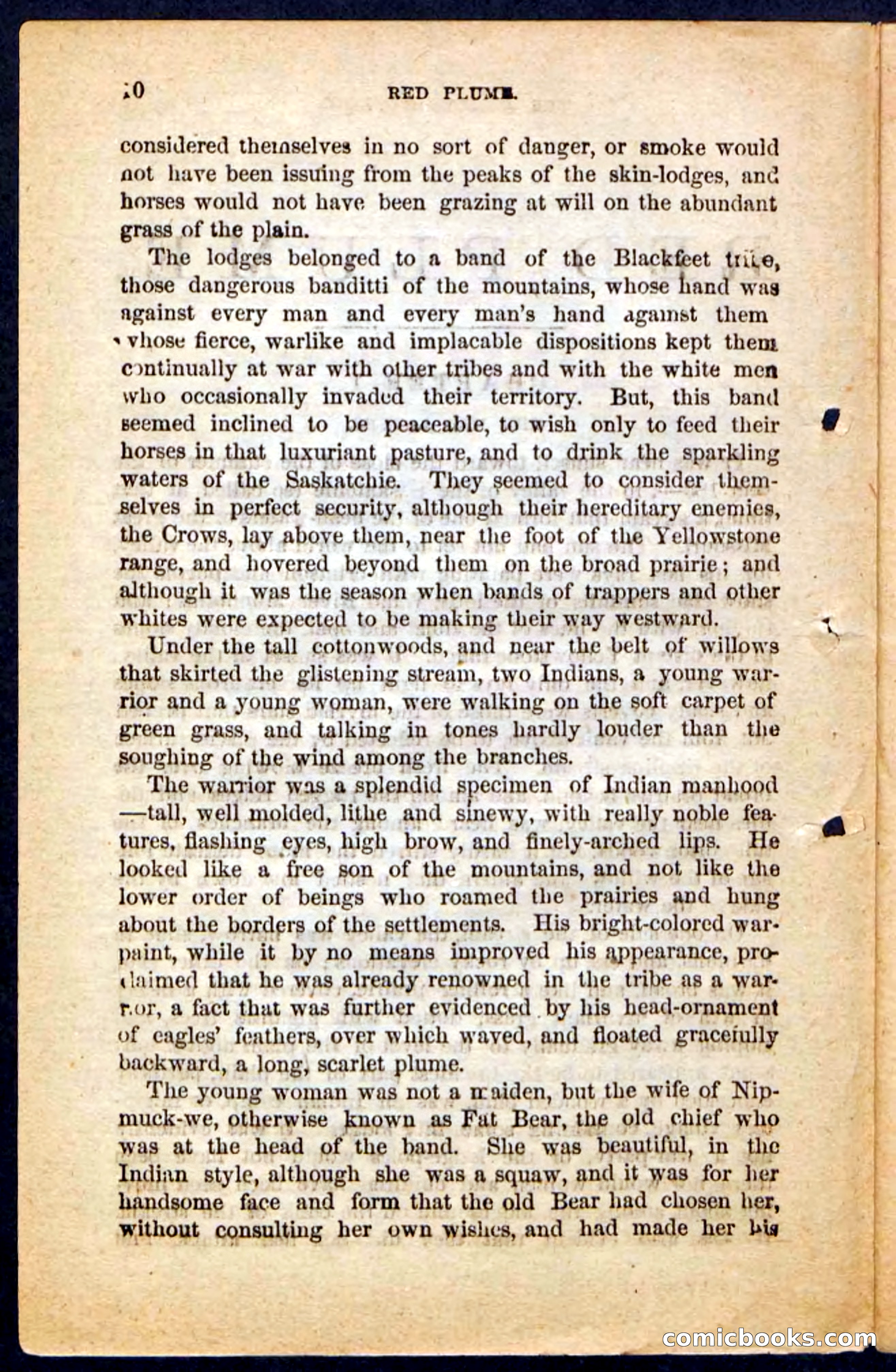 Beadle's Pocket Novels No. 131: Red Plume — page 6 of 98