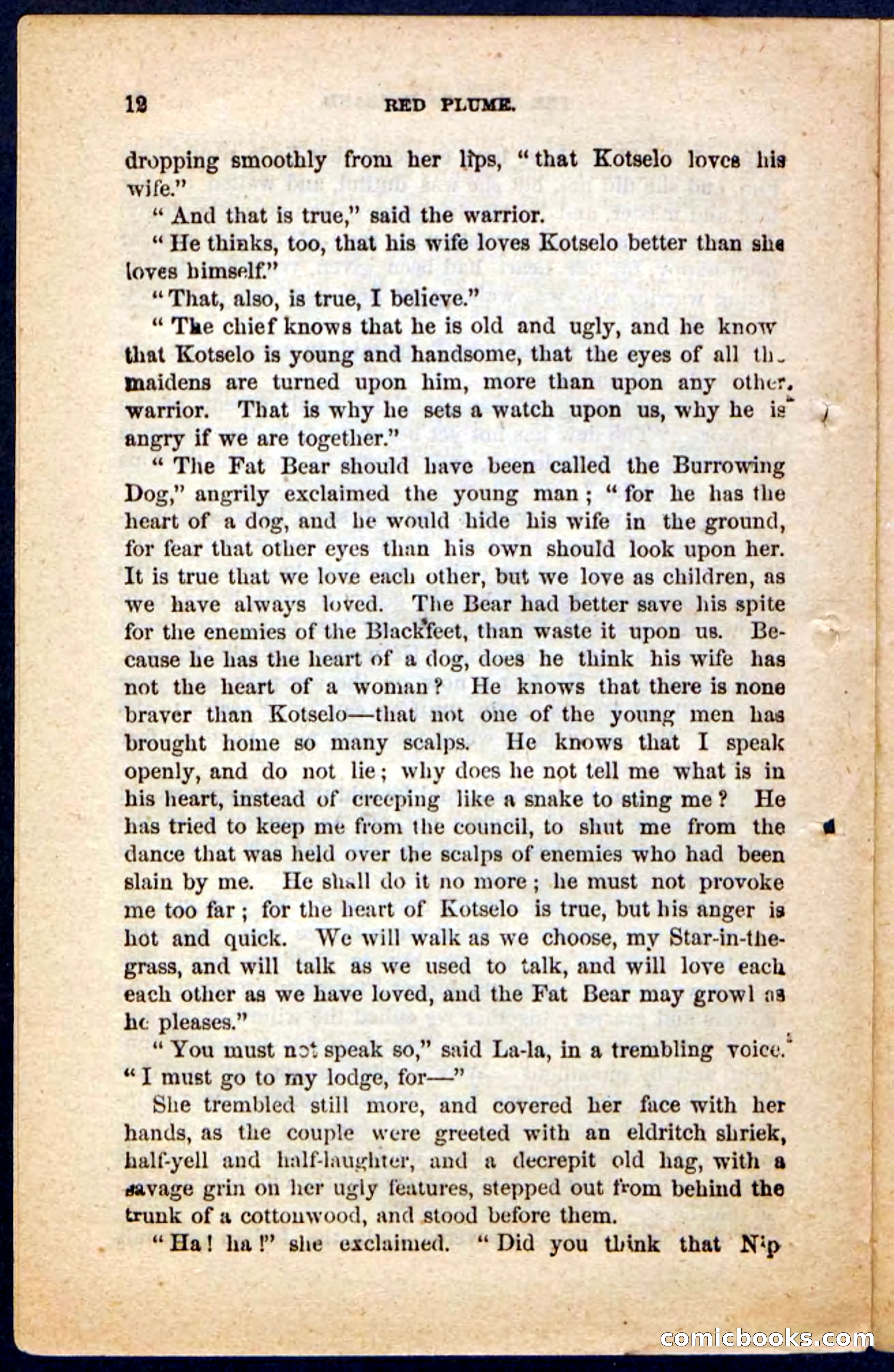 Beadle's Pocket Novels No. 131: Red Plume — page 8 of 98