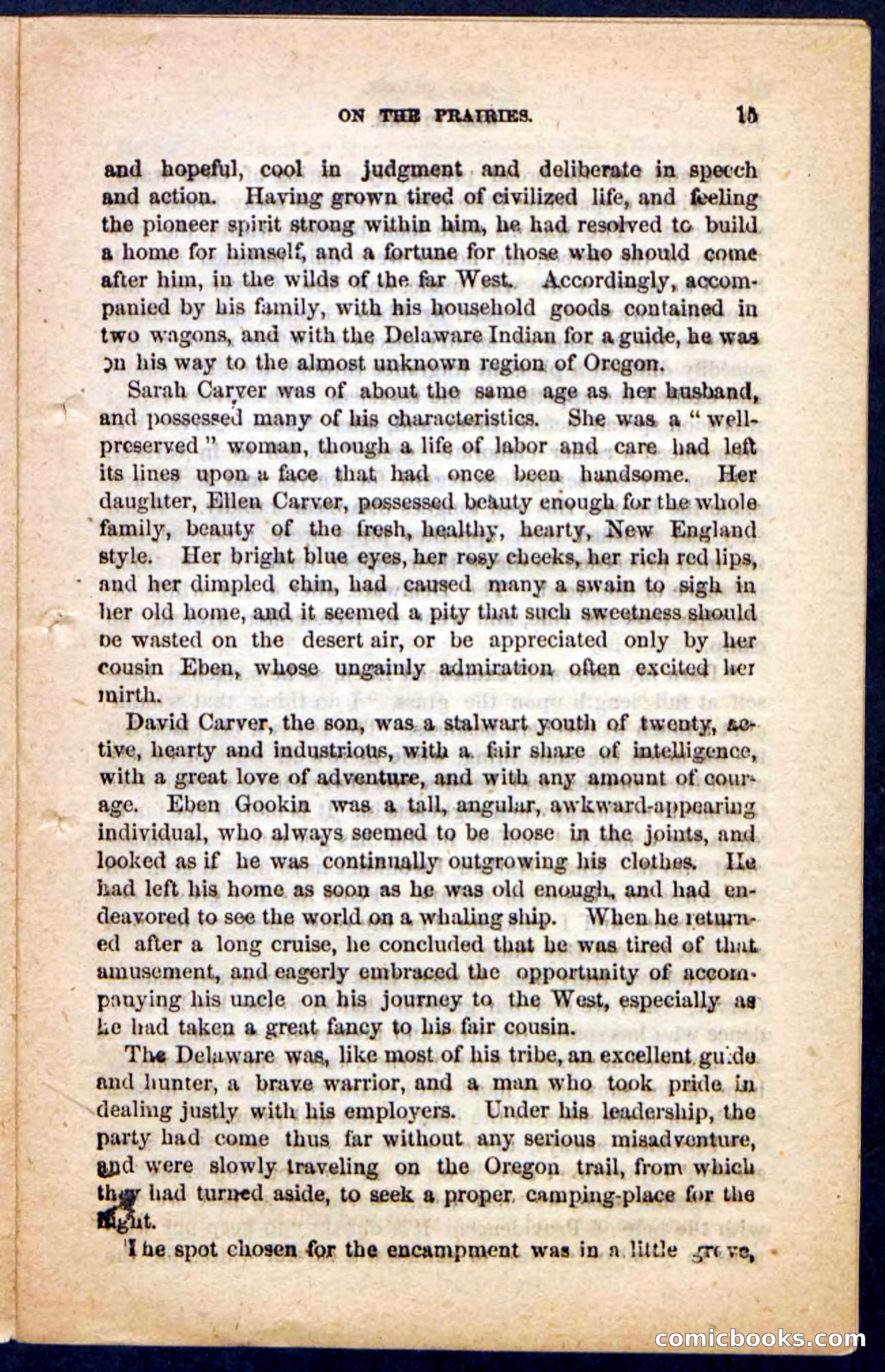 Beadle's Pocket Novels No. 131: Red Plume — page 11 of 98