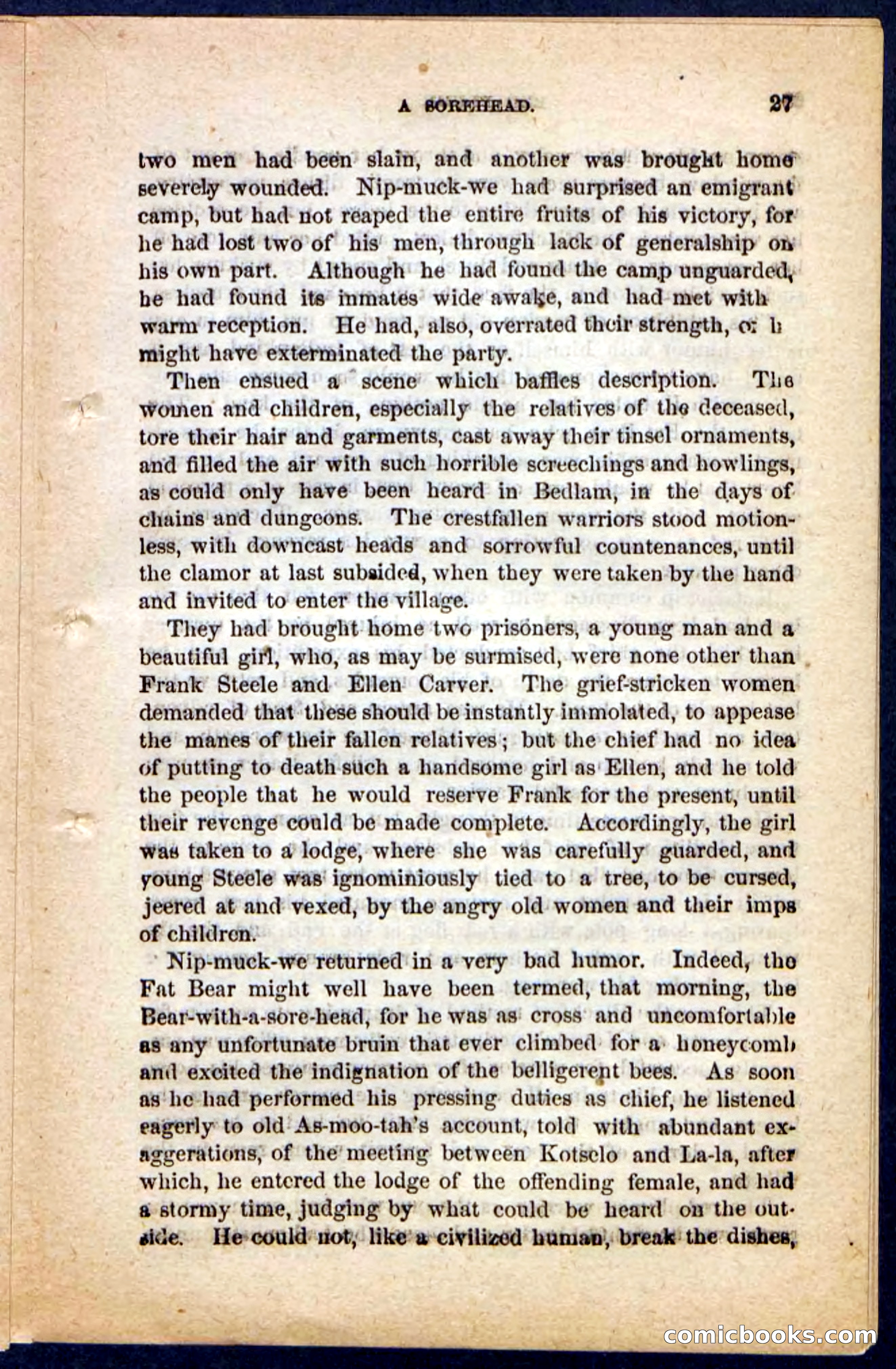 Beadle's Pocket Novels No. 131: Red Plume — page 23 of 98