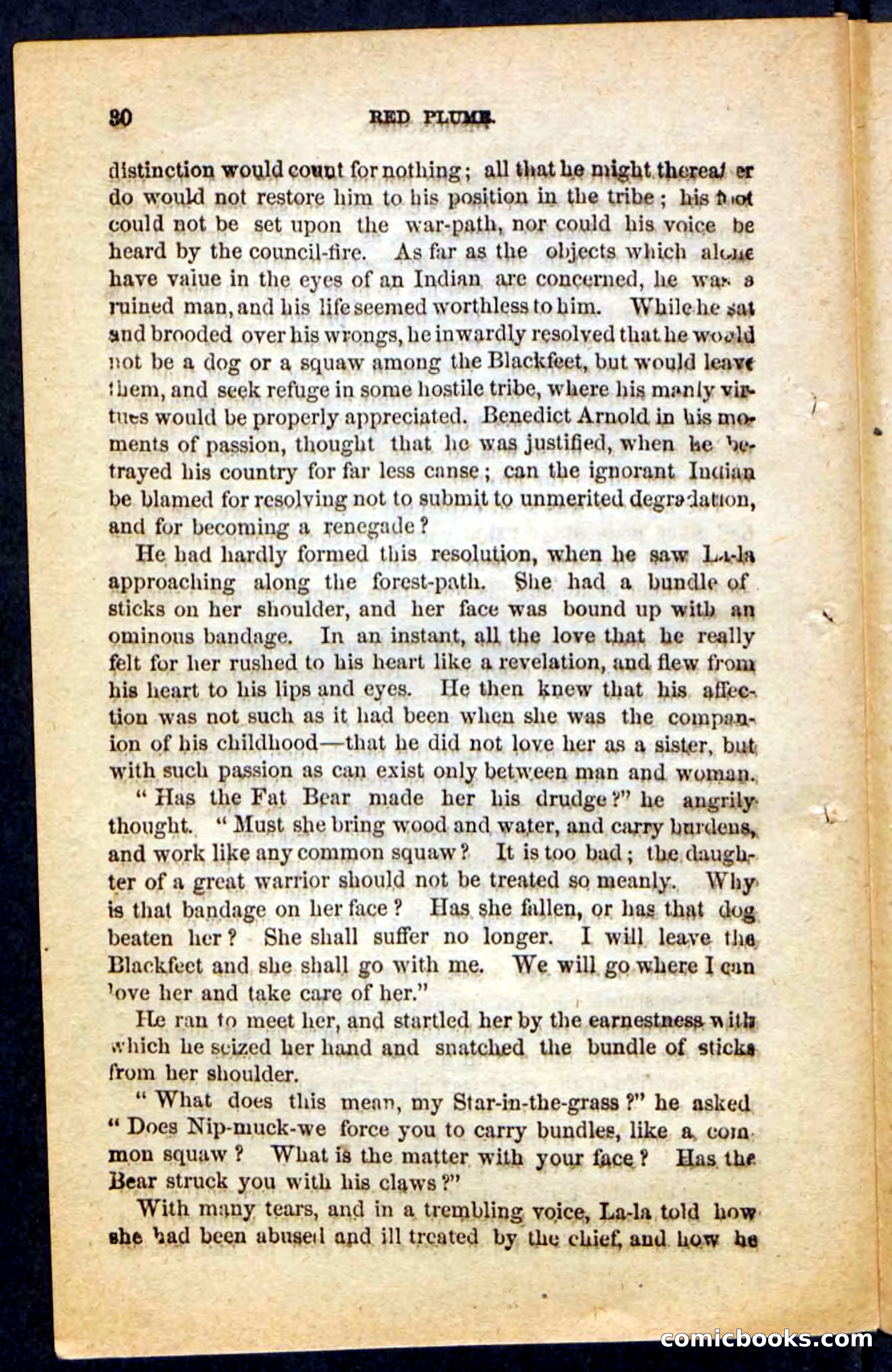 Beadle's Pocket Novels No. 131: Red Plume — page 26 of 98