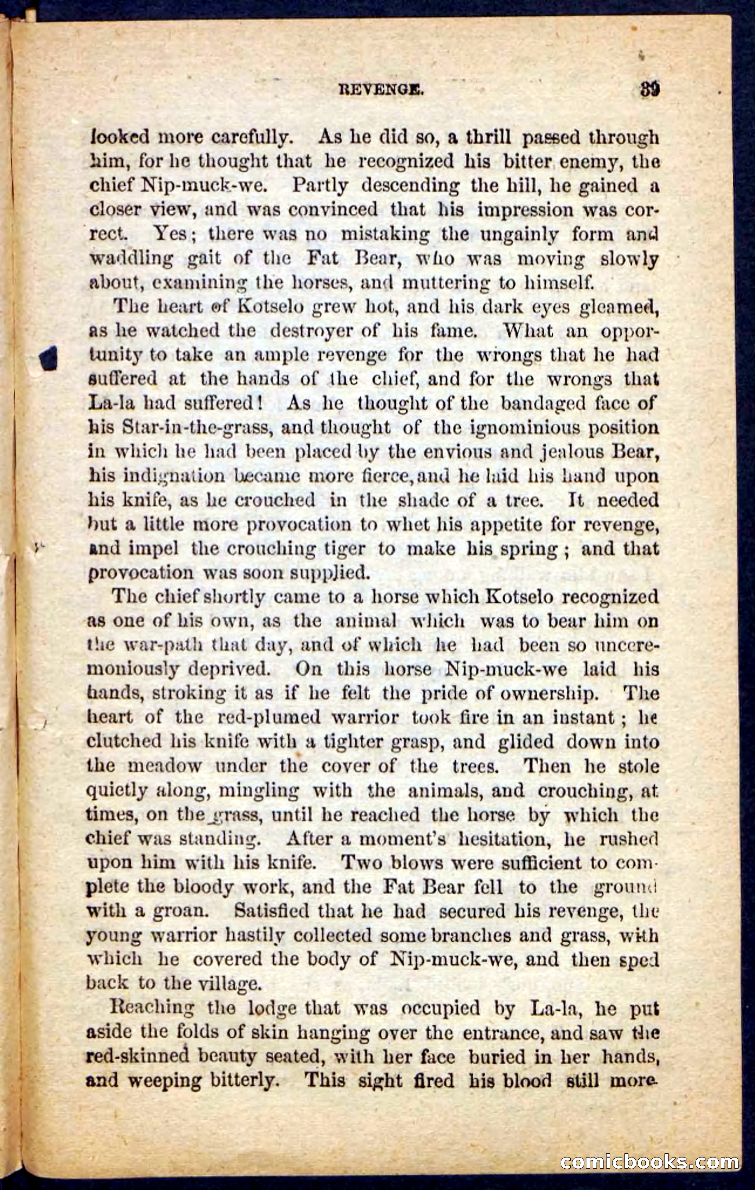 Beadle's Pocket Novels No. 131: Red Plume — page 35 of 98