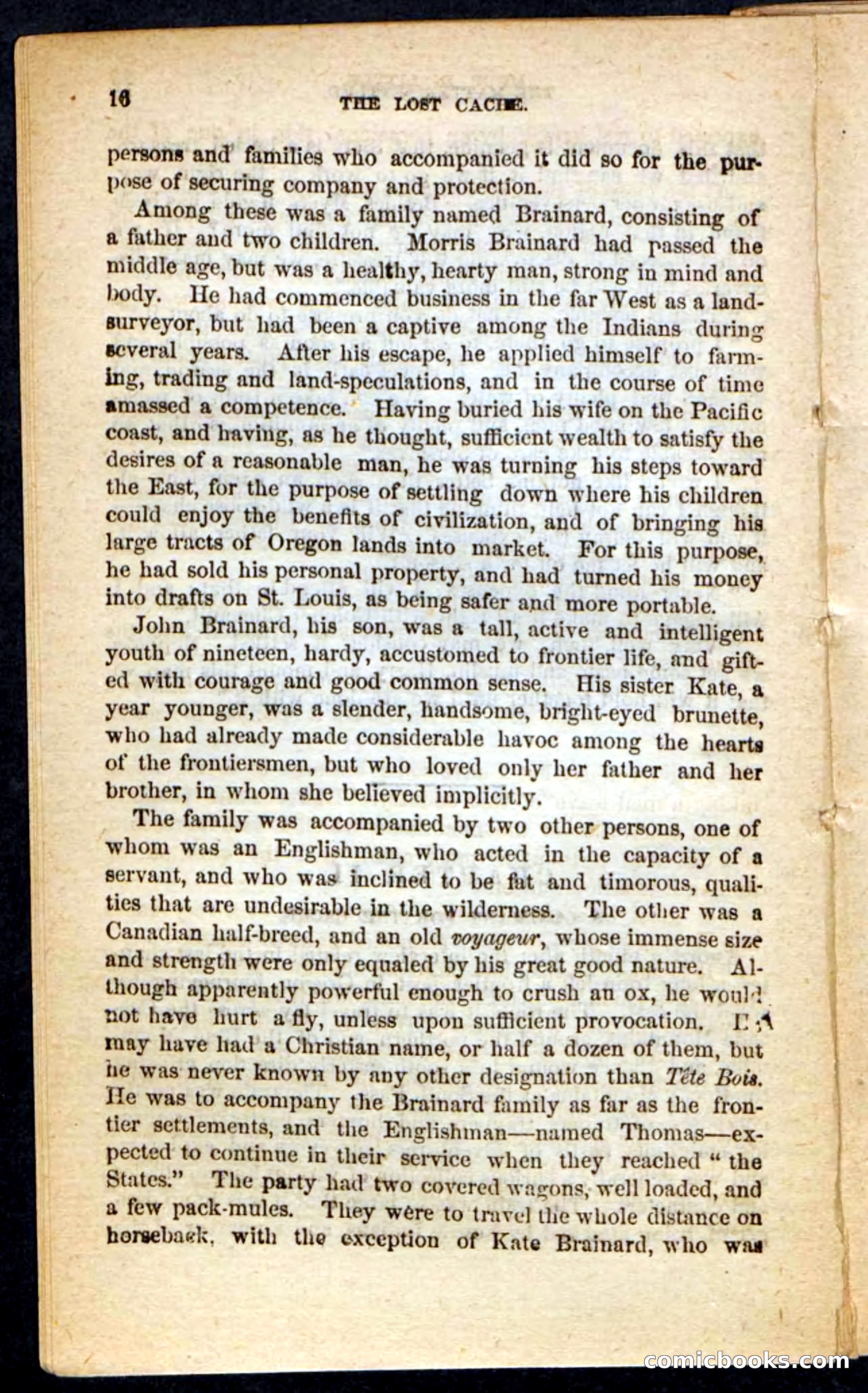 The Lost Cache, Beadle's Pocket Novels No. 133 — page 12 of 100