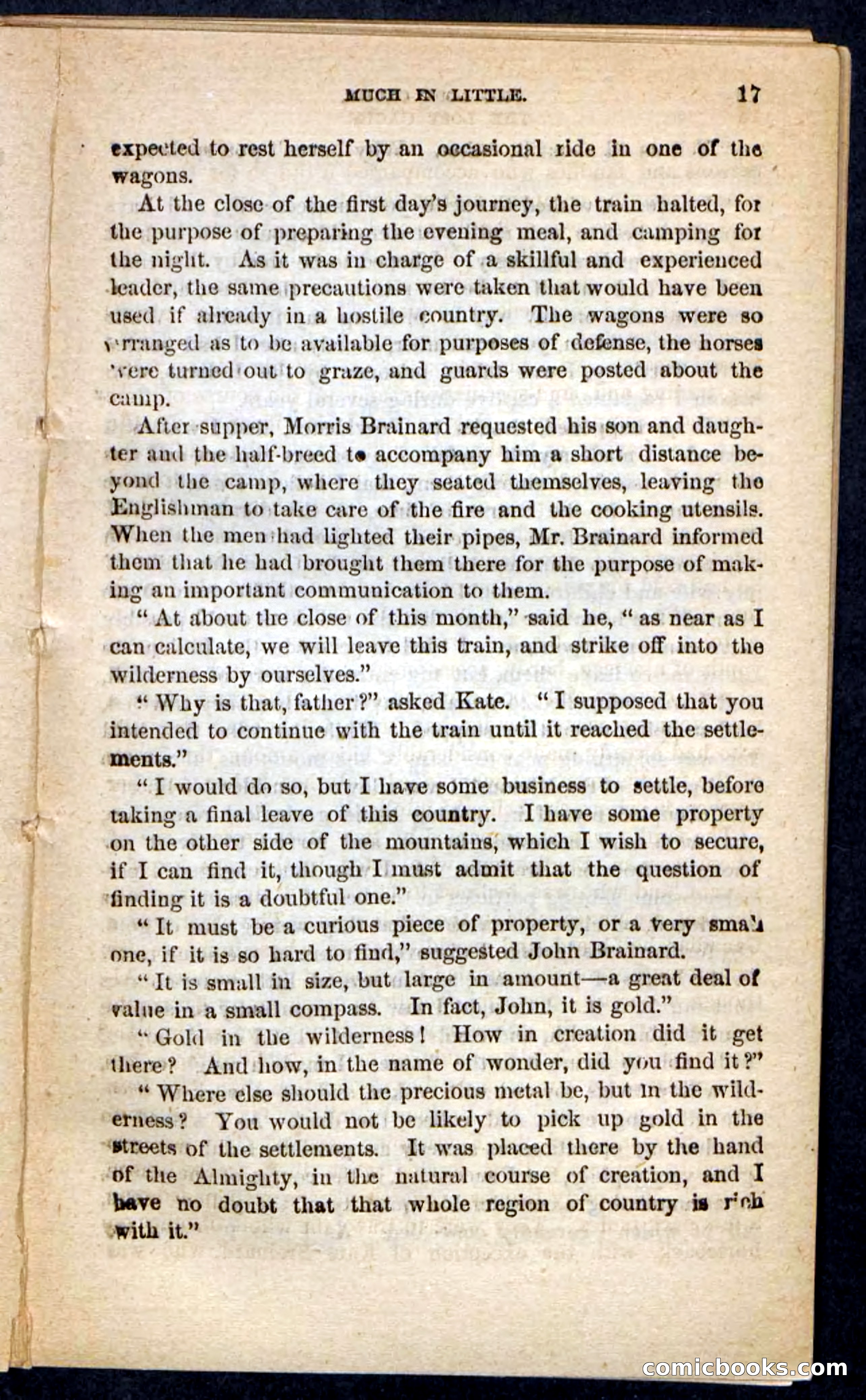 The Lost Cache, Beadle's Pocket Novels No. 133 — page 13 of 100