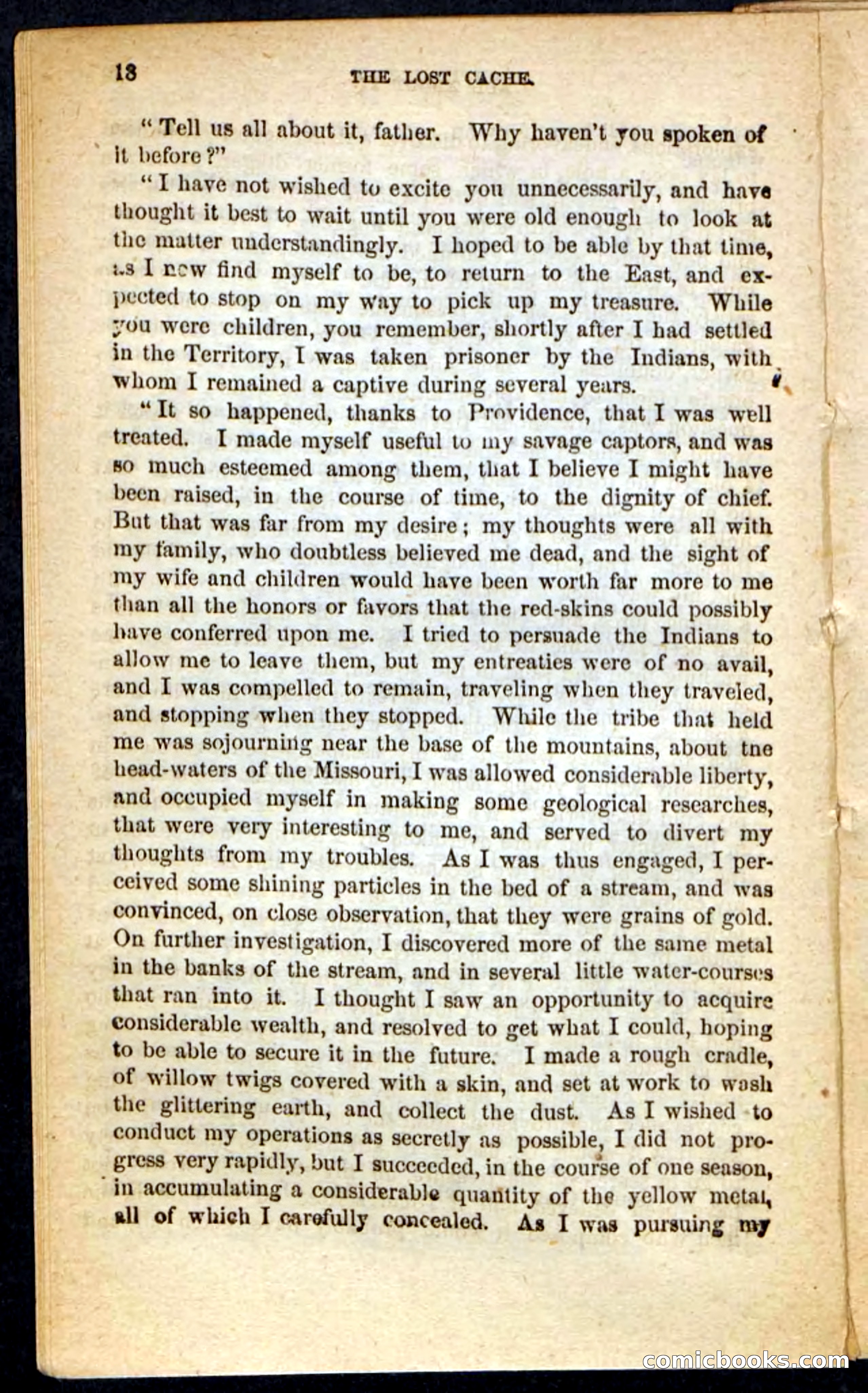 The Lost Cache, Beadle's Pocket Novels No. 133 — page 14 of 100