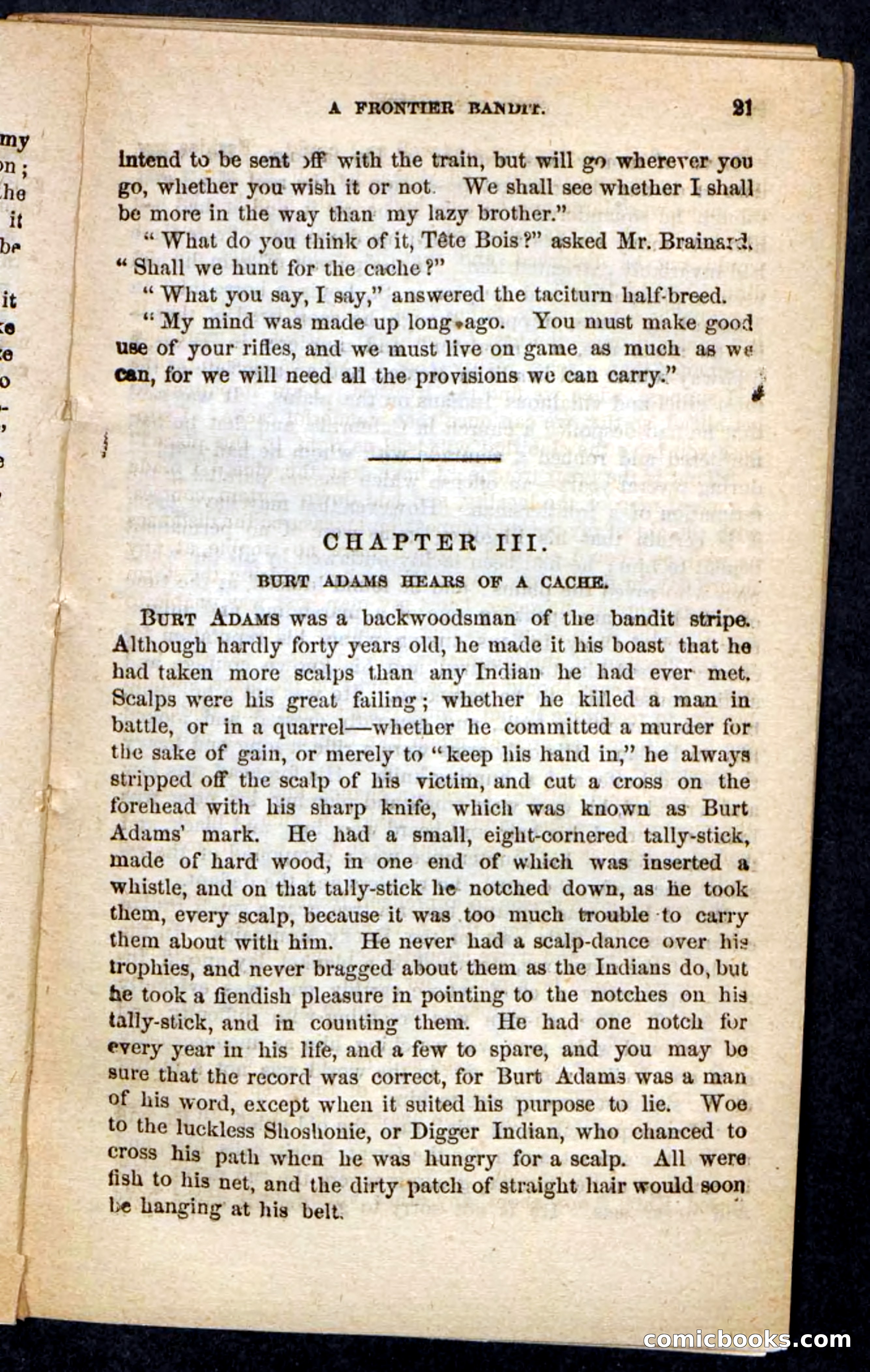 The Lost Cache, Beadle's Pocket Novels No. 133 — page 17 of 100