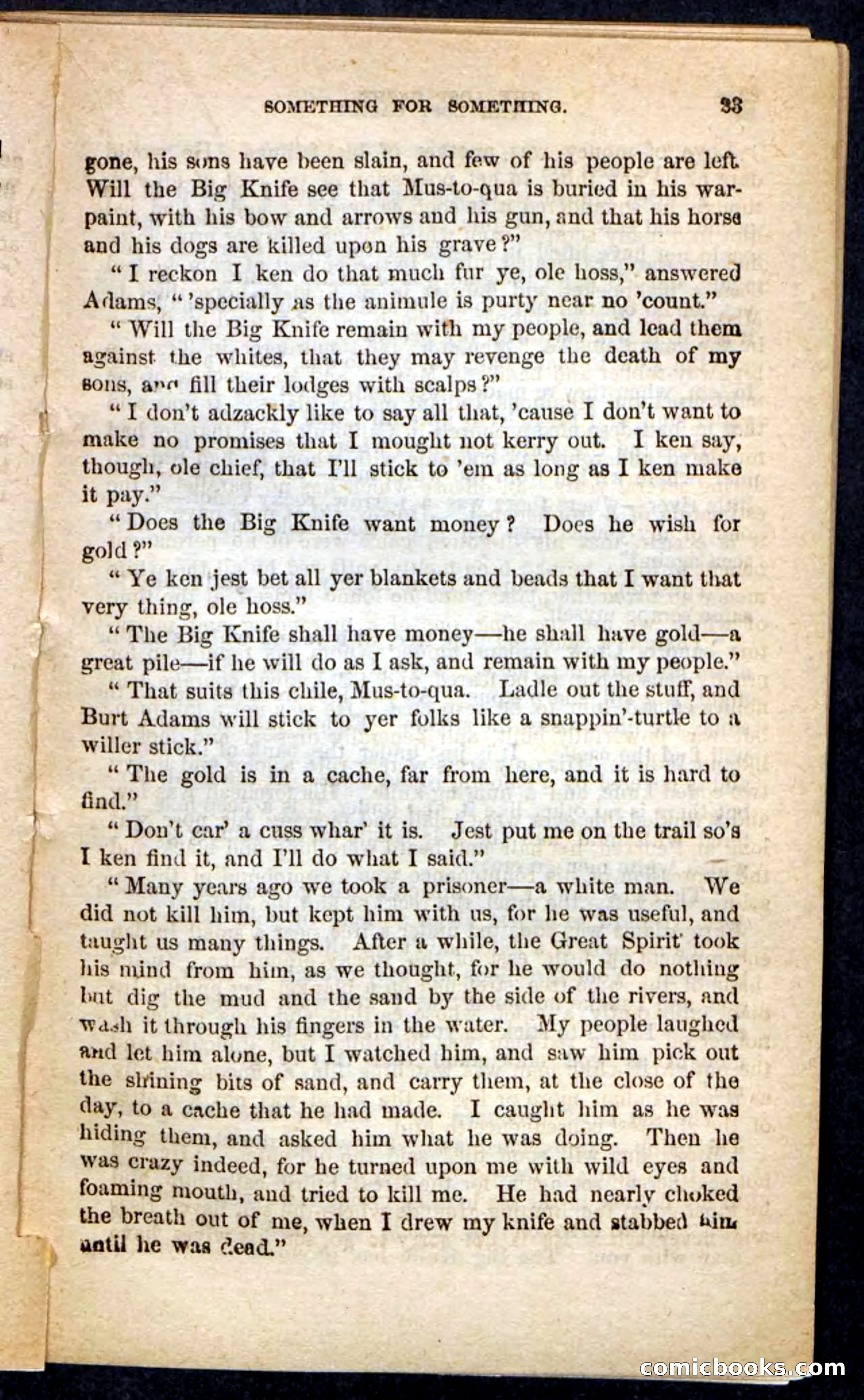 The Lost Cache, Beadle's Pocket Novels No. 133 — page 19 of 100