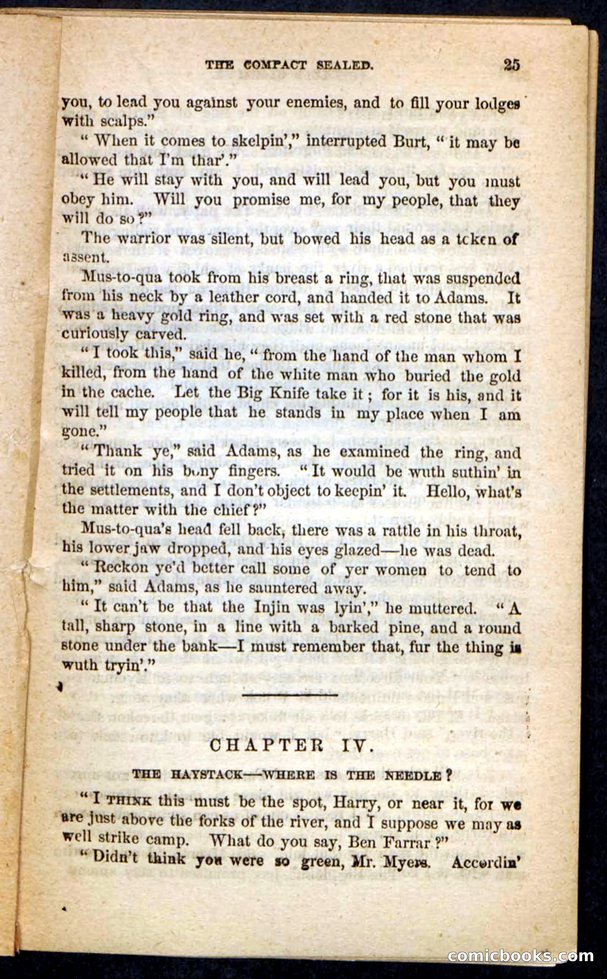 The Lost Cache, Beadle's Pocket Novels No. 133 — page 21 of 100
