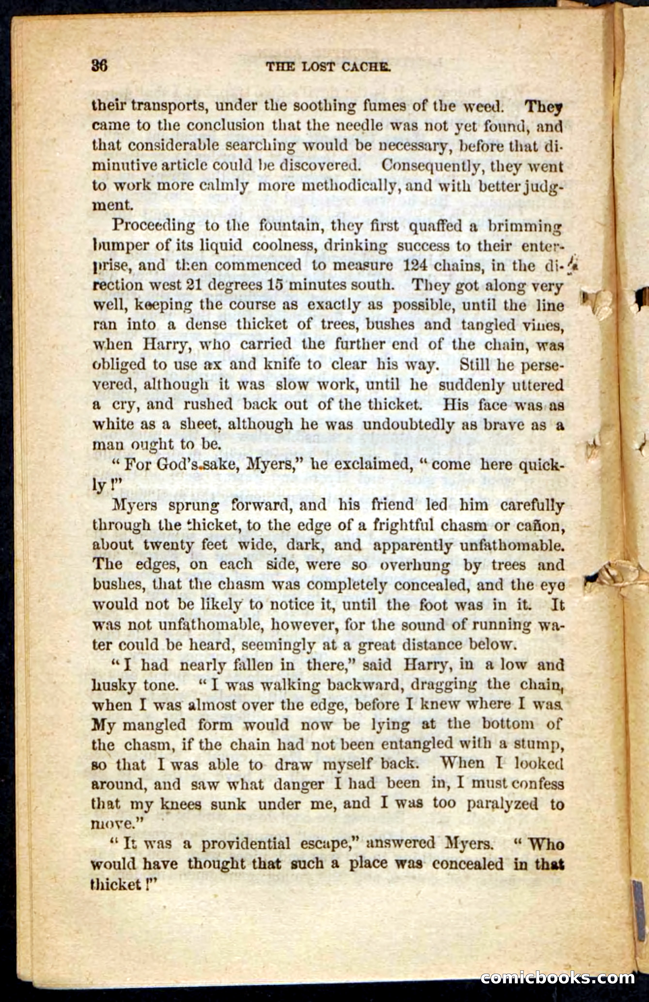 The Lost Cache, Beadle's Pocket Novels No. 133 — page 32 of 100