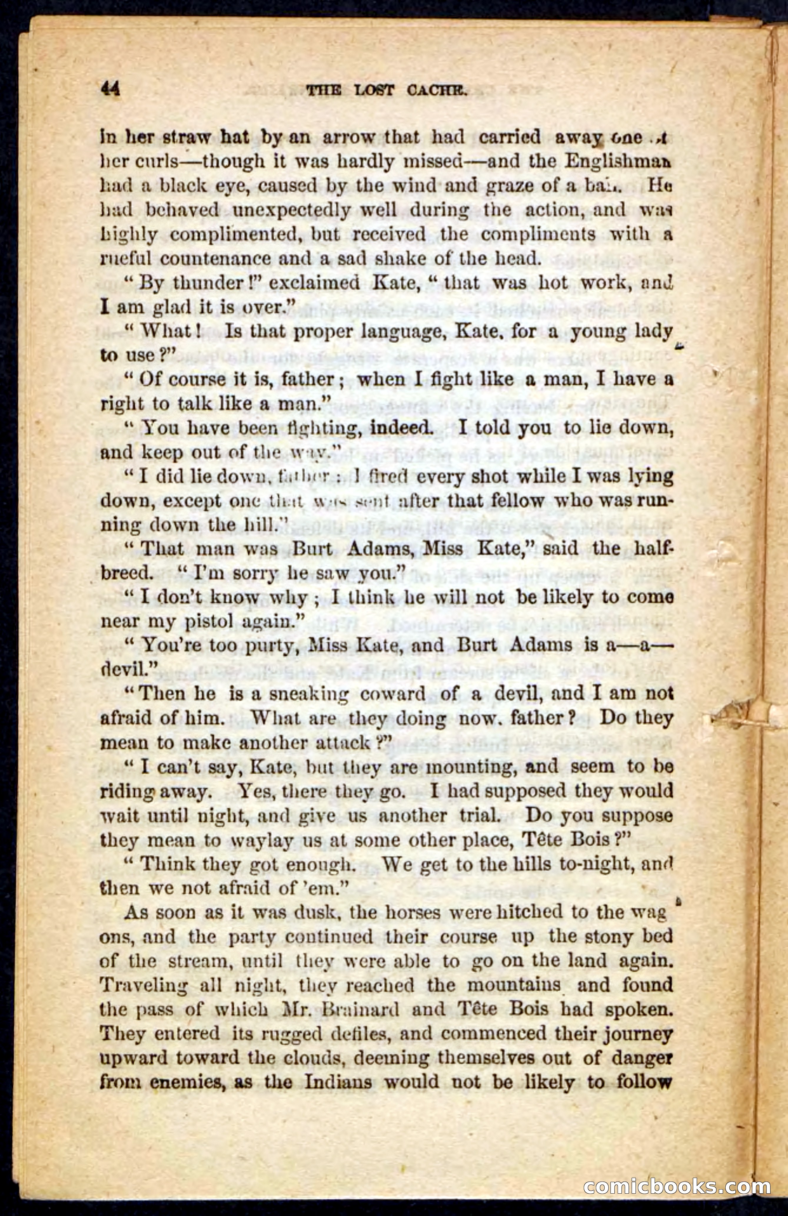 The Lost Cache, Beadle's Pocket Novels No. 133 — page 40 of 100