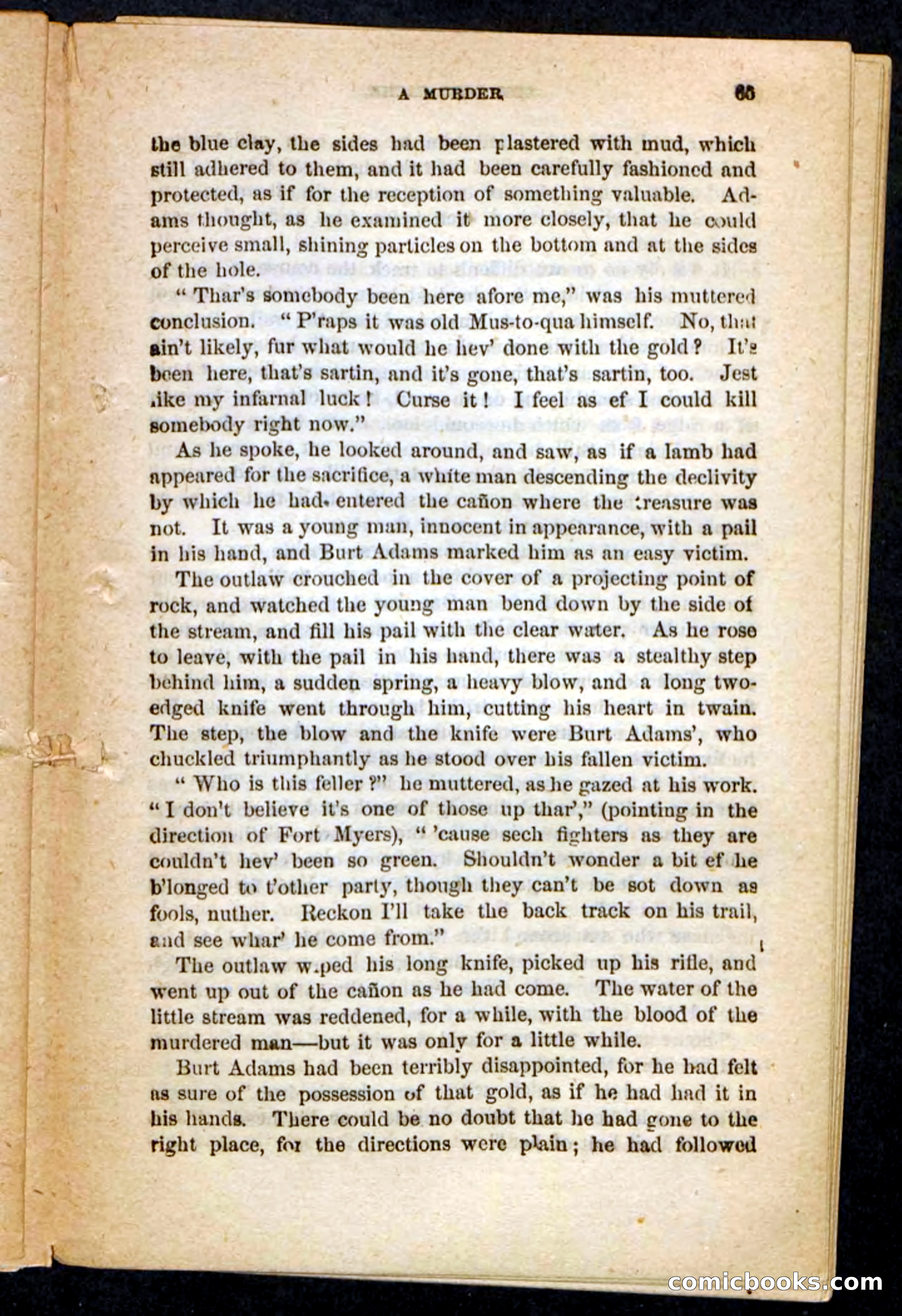 The Lost Cache, Beadle's Pocket Novels No. 133 — page 61 of 100