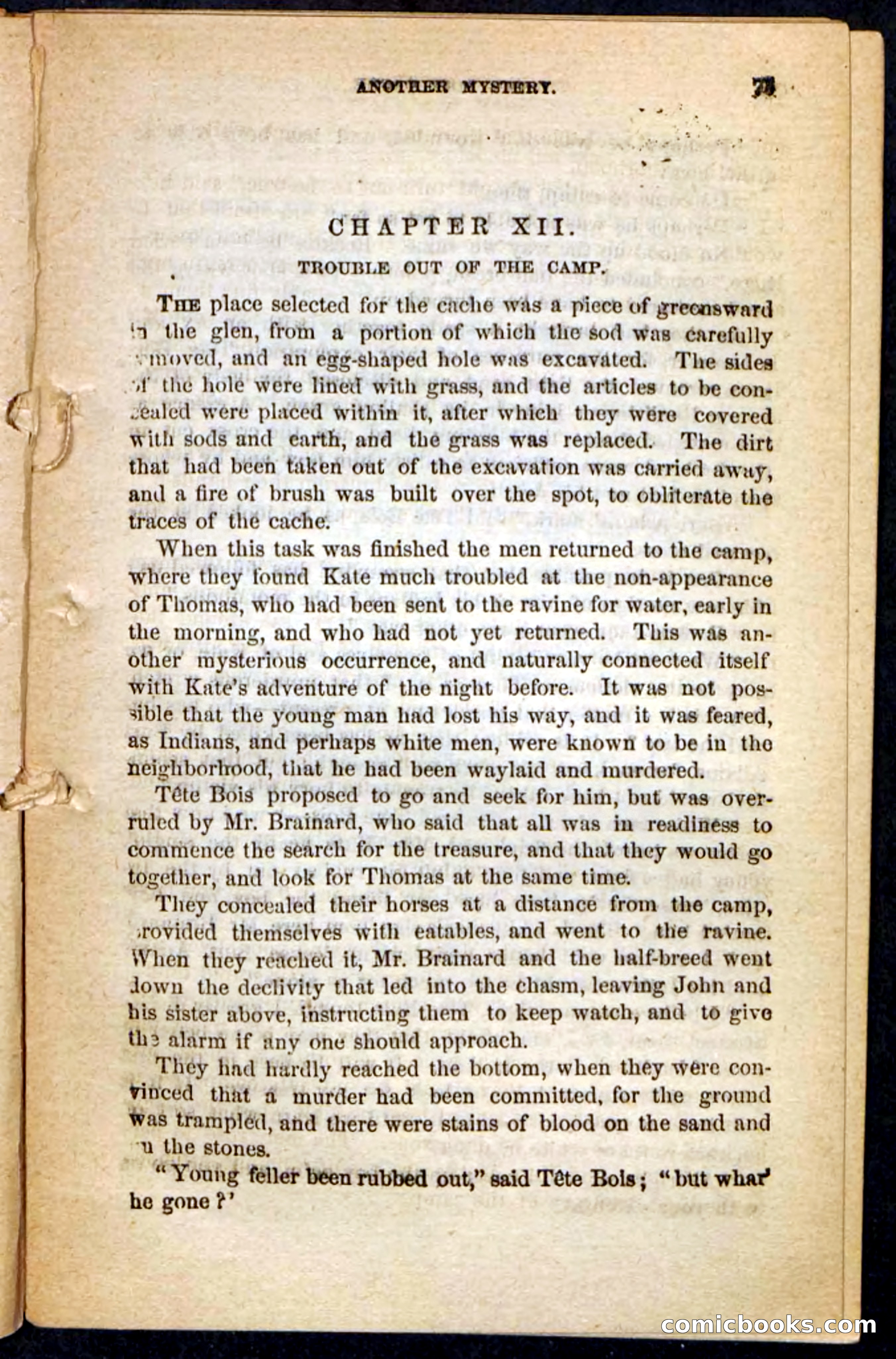 The Lost Cache, Beadle's Pocket Novels No. 133 — page 71 of 100