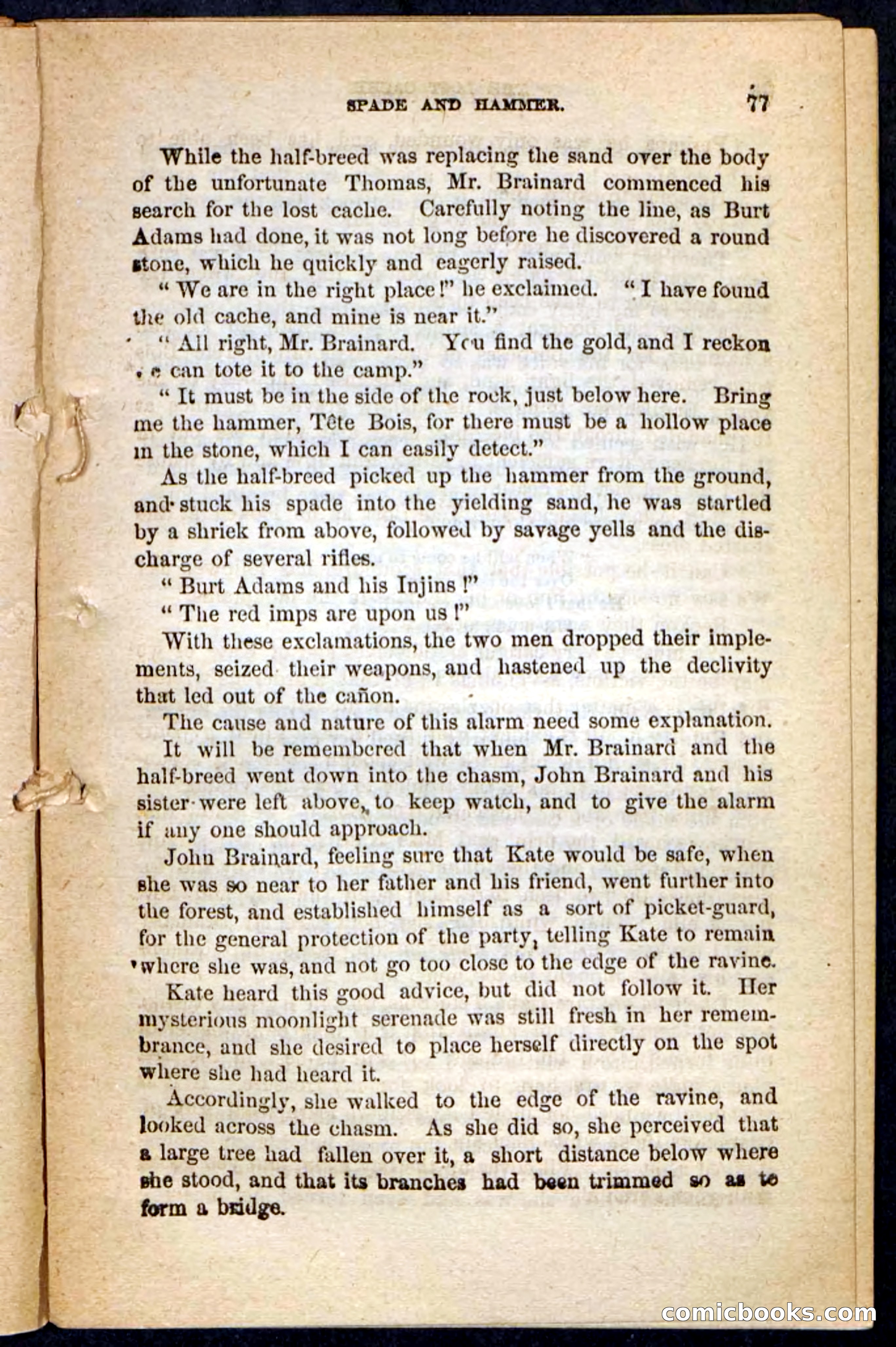The Lost Cache, Beadle's Pocket Novels No. 133 — page 73 of 100