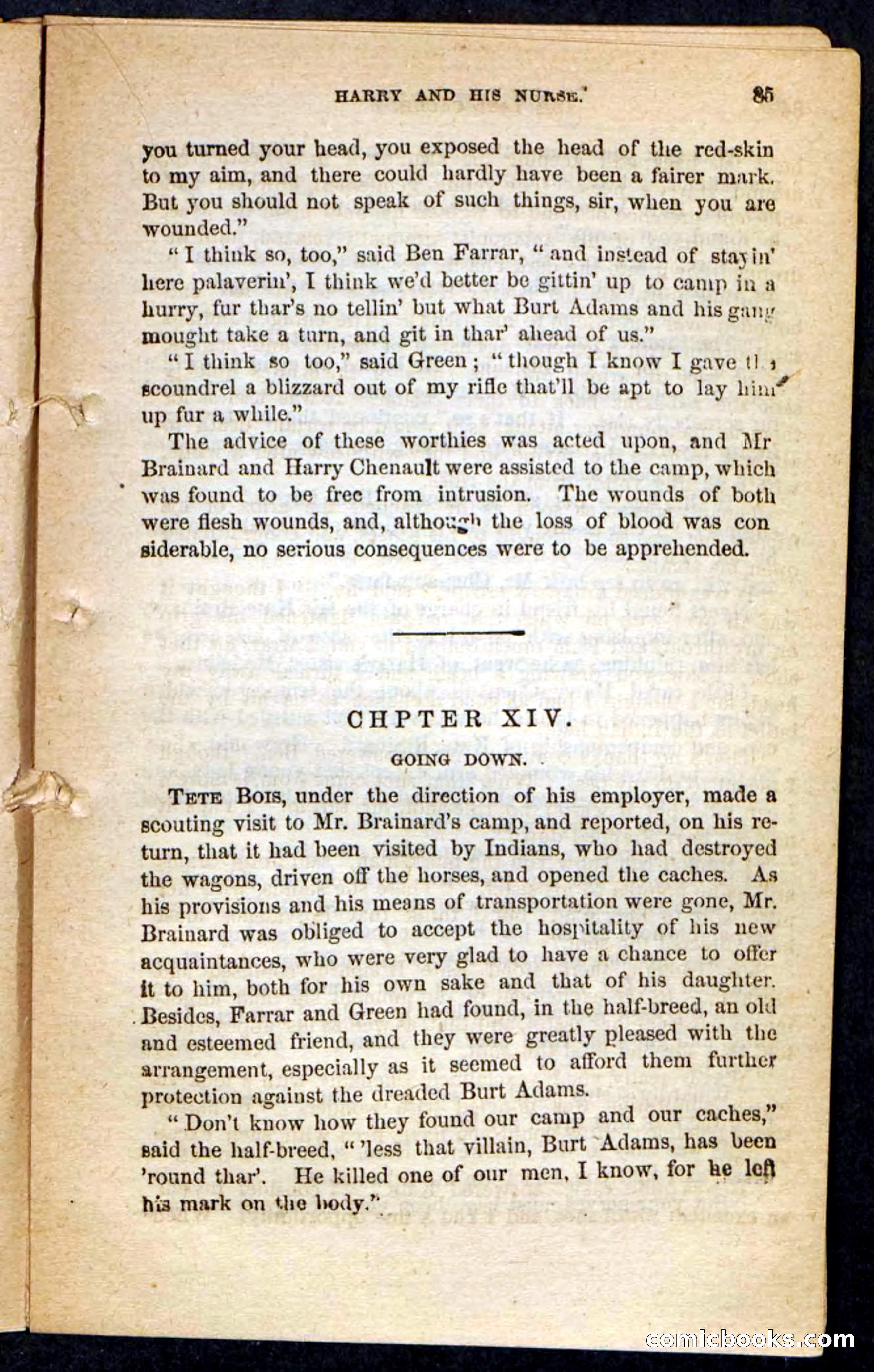 The Lost Cache, Beadle's Pocket Novels No. 133 — page 81 of 100