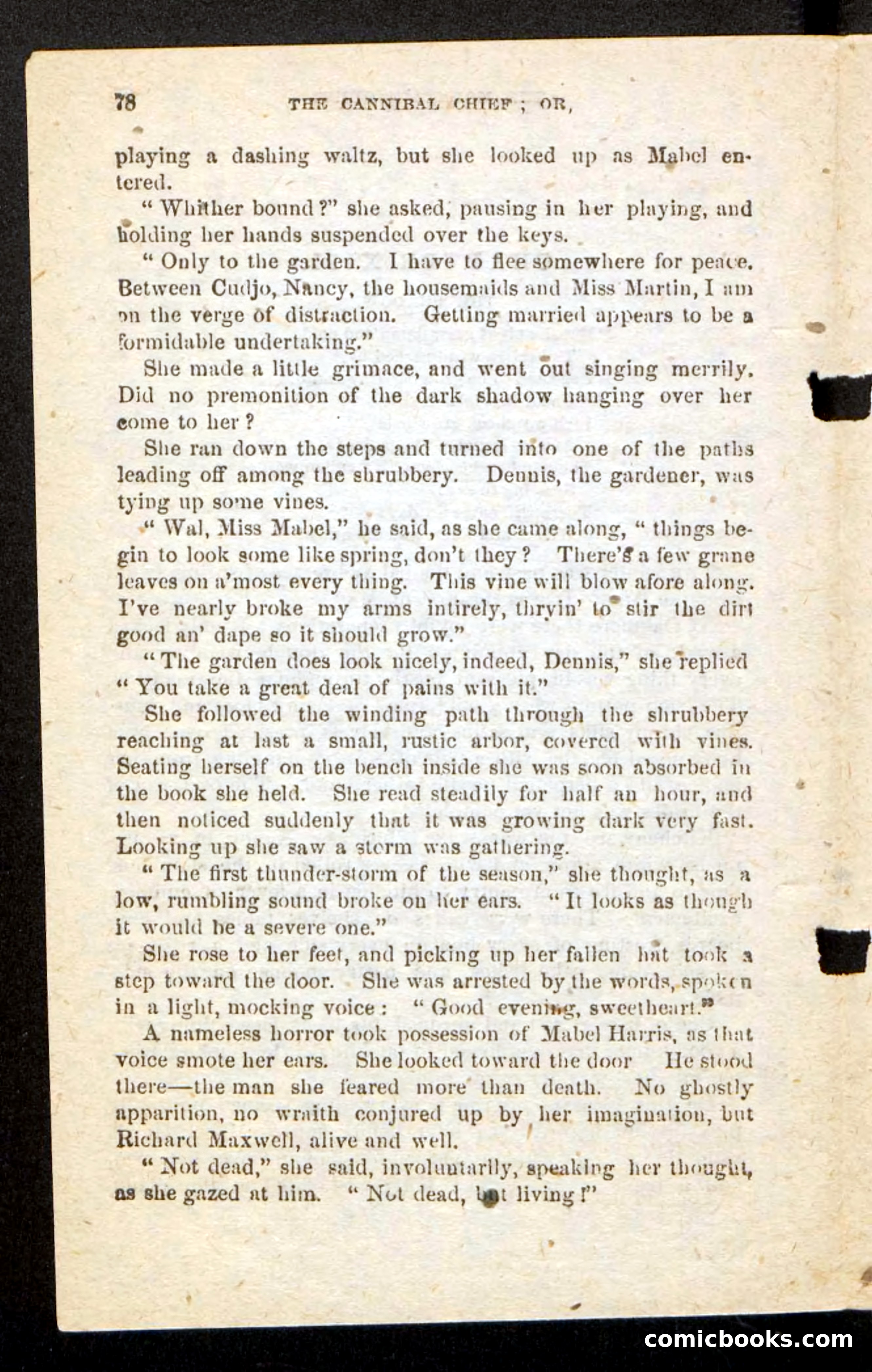 The Cannibal Chief — page 73 of 83