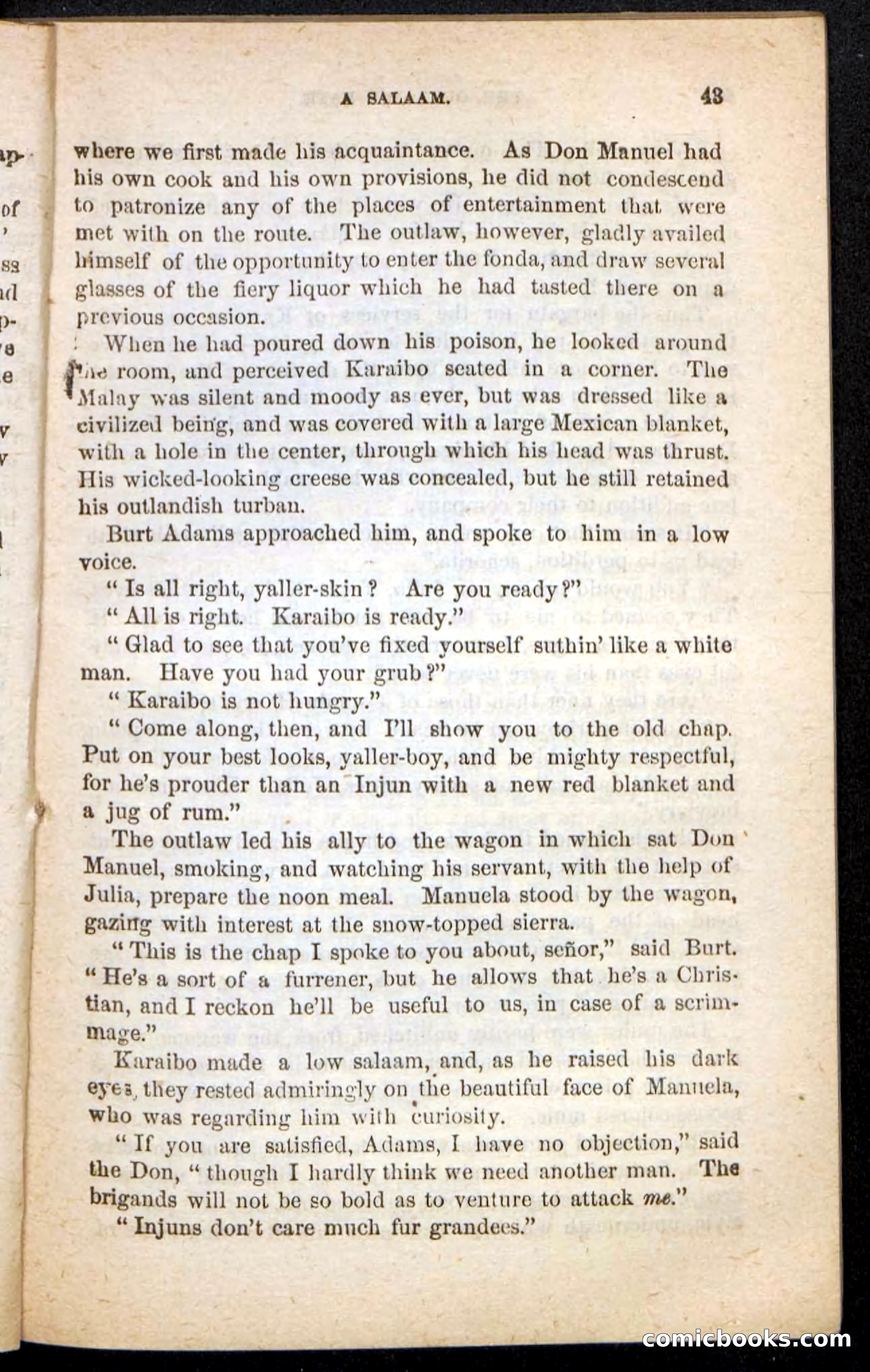 Beadle's Pocket Novels No. 135: Karaibo — page 39 of 100