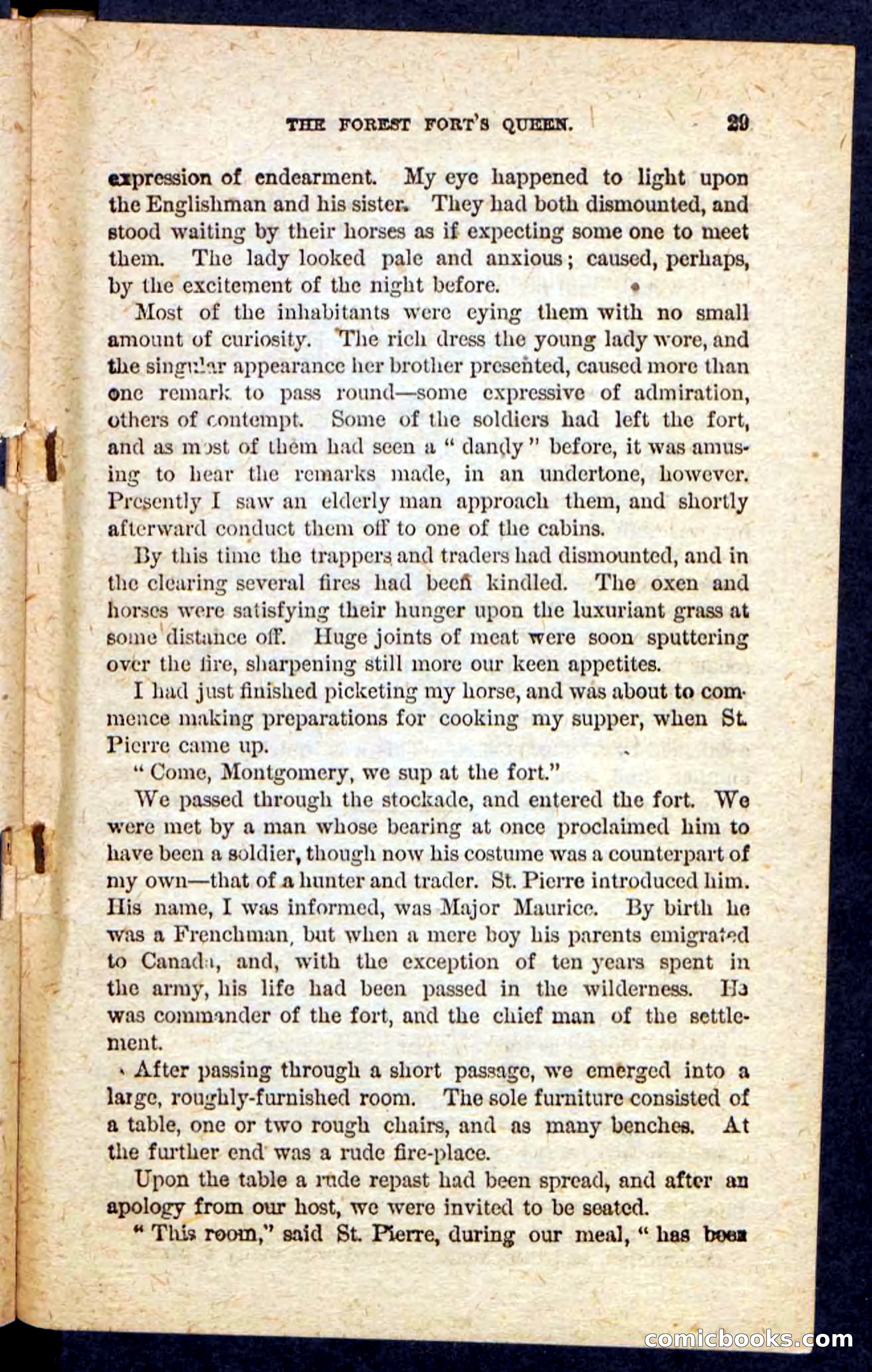 Beadle's Pocket Novels No. 136: Scarlet Moccasin — page 25 of 100