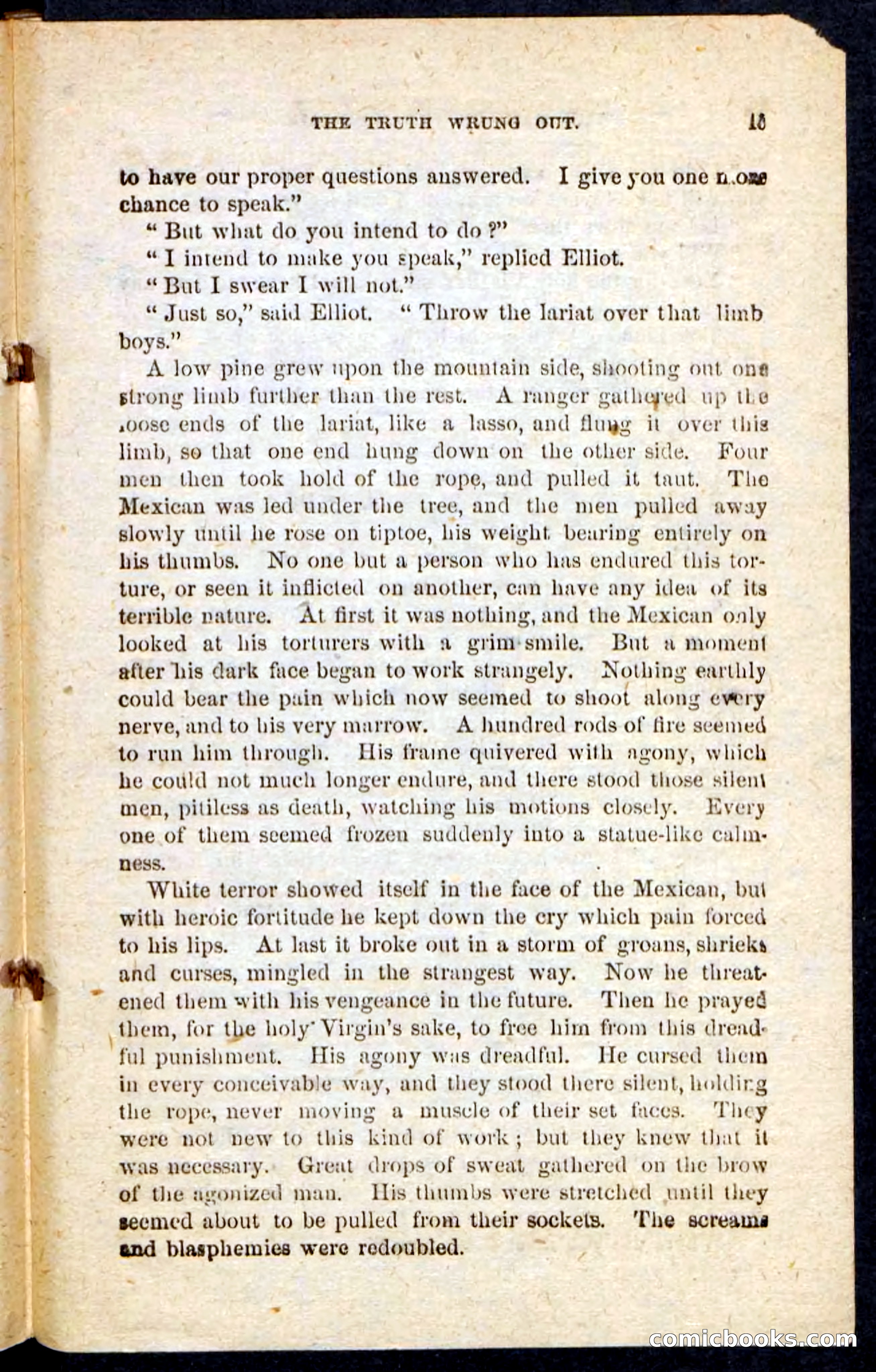 Beadle's Pocket Novels: Maid of the Mountain — page 11 of 100