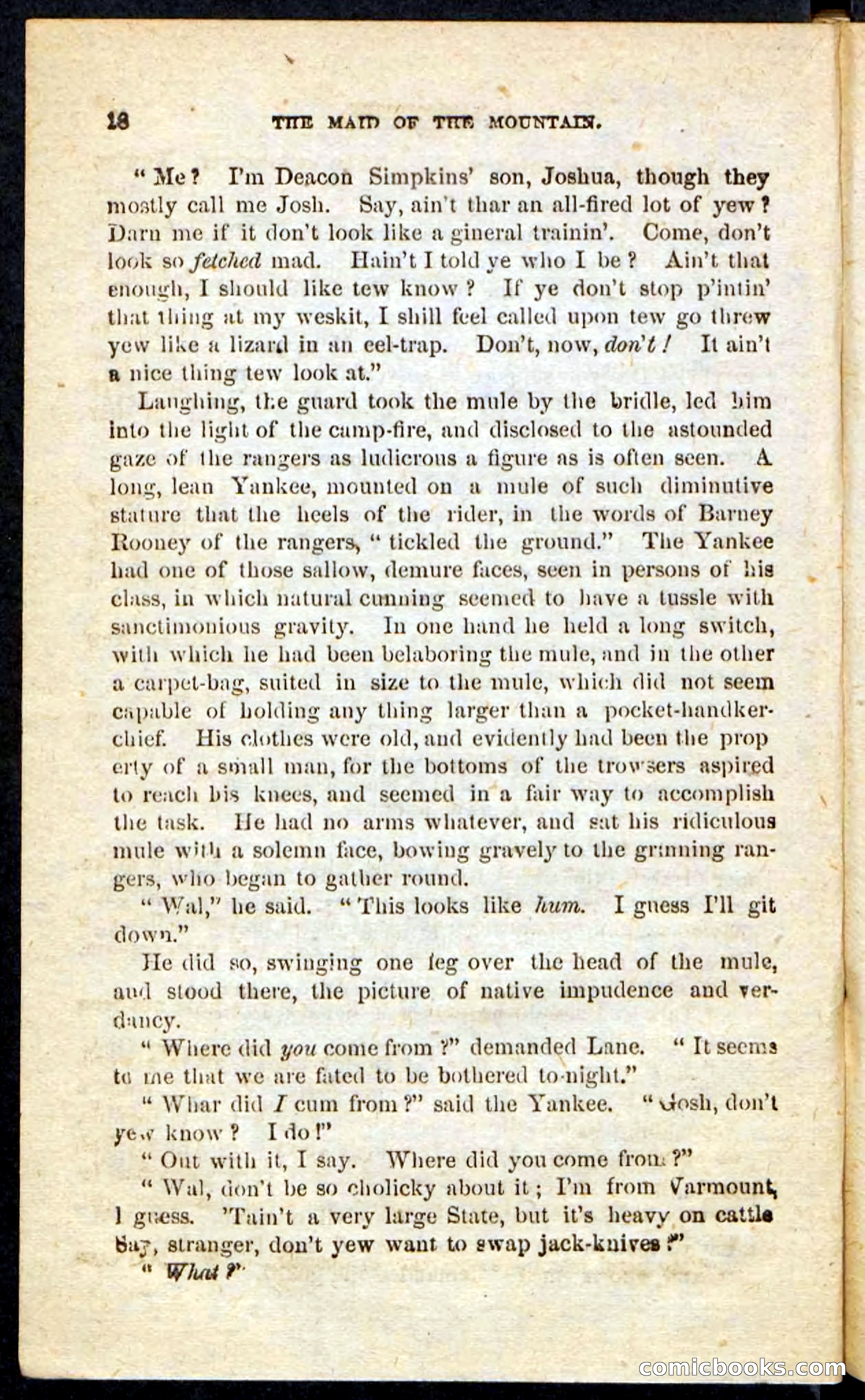 Beadle's Pocket Novels: Maid of the Mountain — page 14 of 100