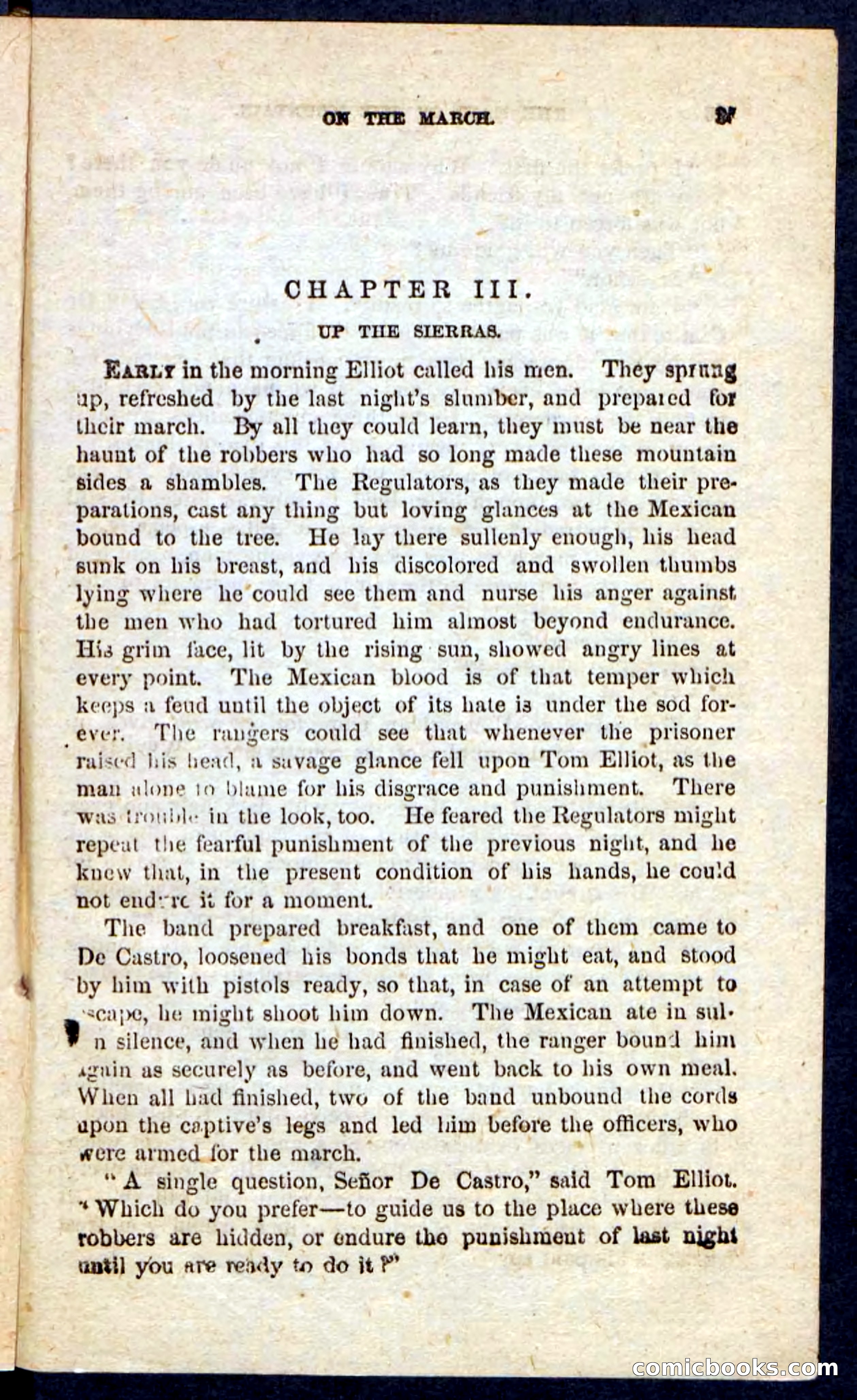 Beadle's Pocket Novels: Maid of the Mountain — page 21 of 100
