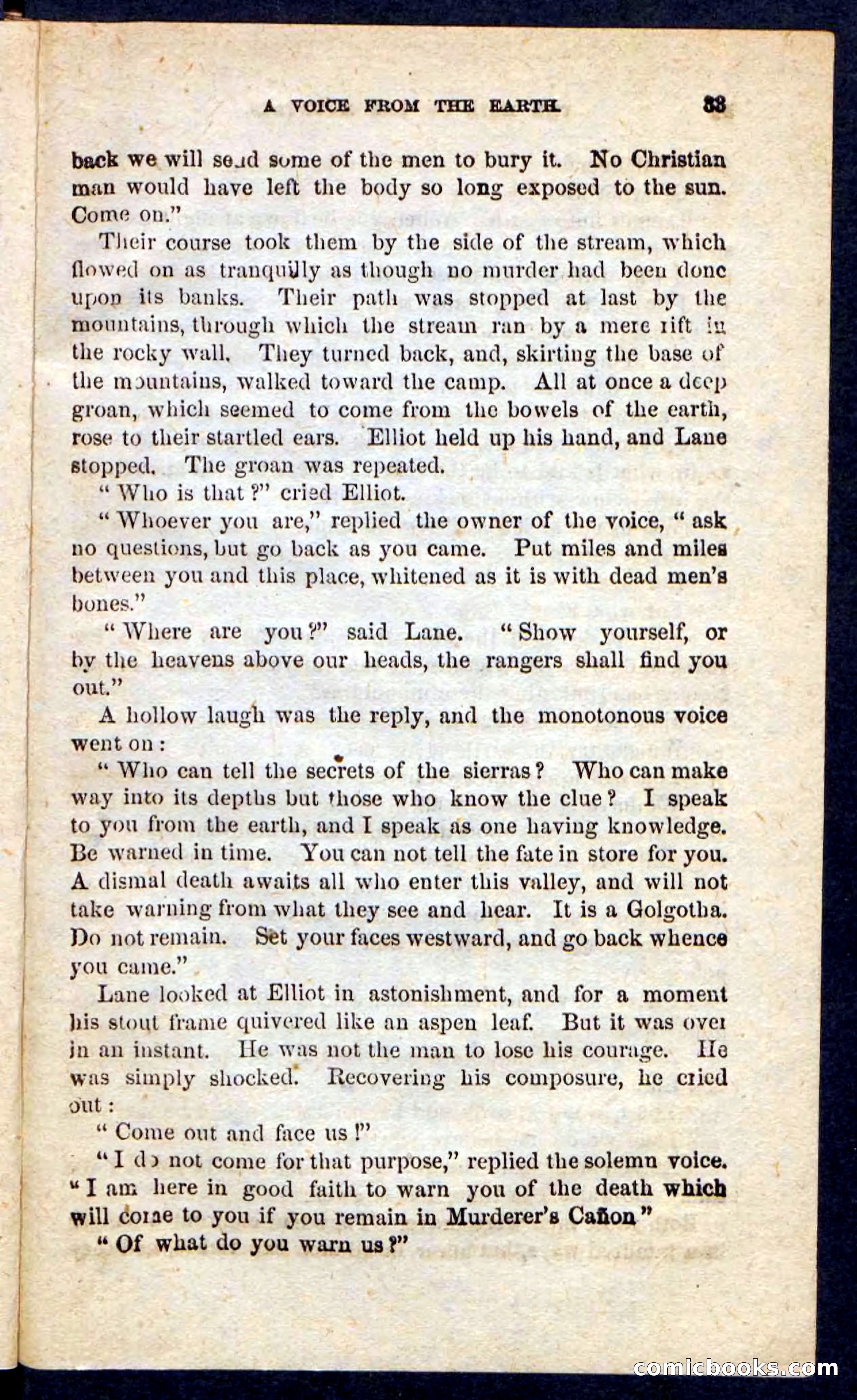 Beadle's Pocket Novels: Maid of the Mountain — page 29 of 100