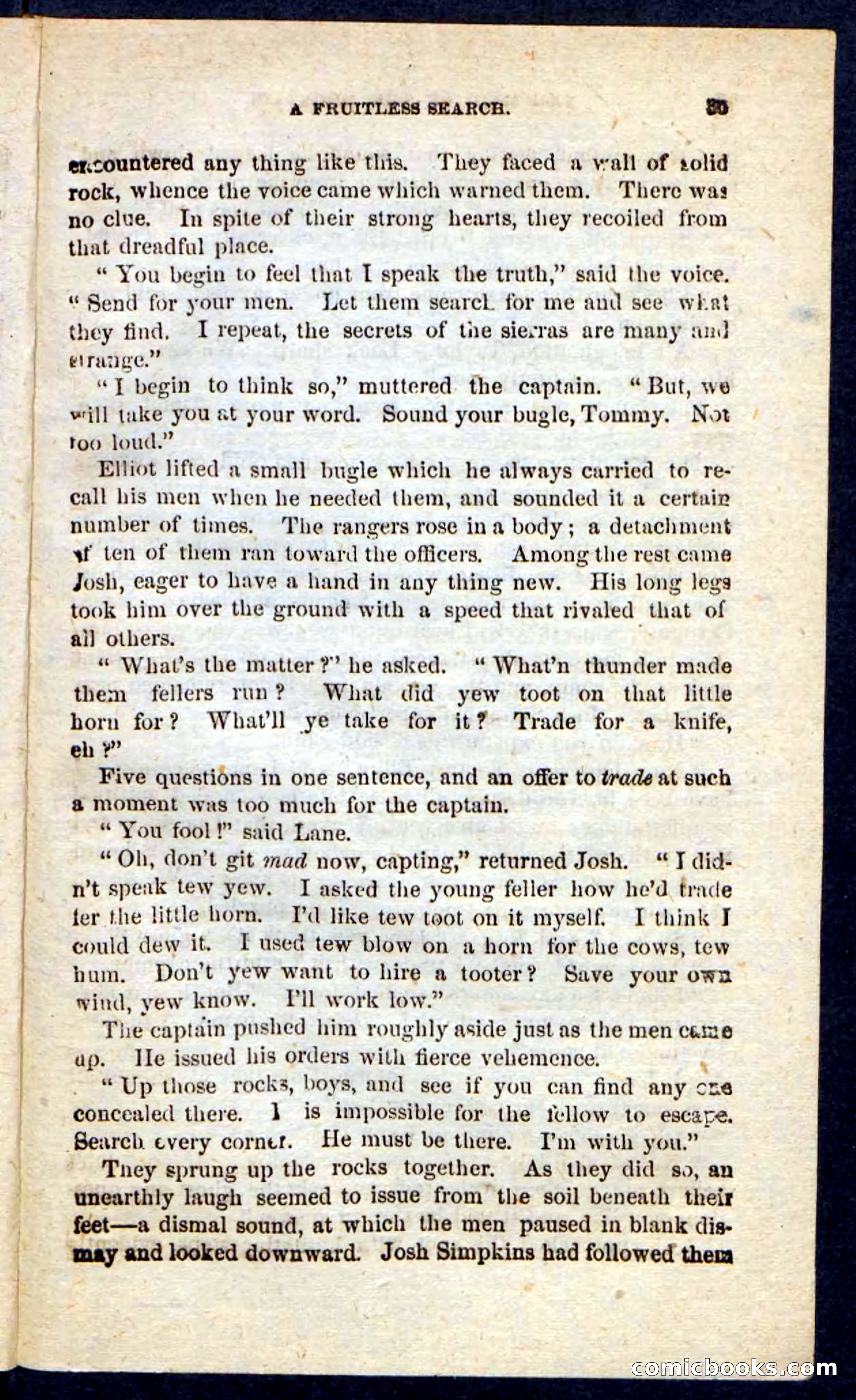 Beadle's Pocket Novels: Maid of the Mountain — page 31 of 100