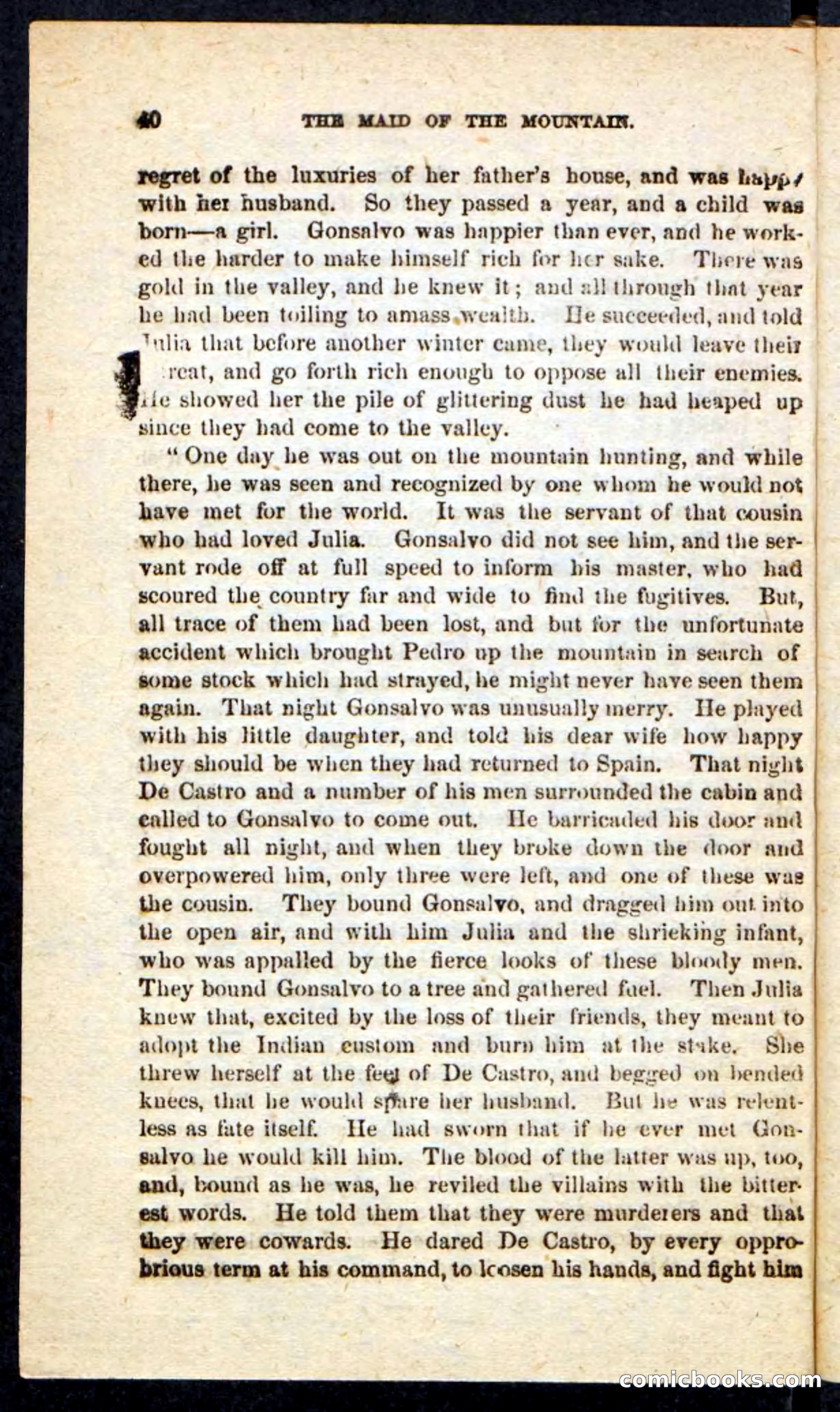 Beadle's Pocket Novels: Maid of the Mountain — page 36 of 100