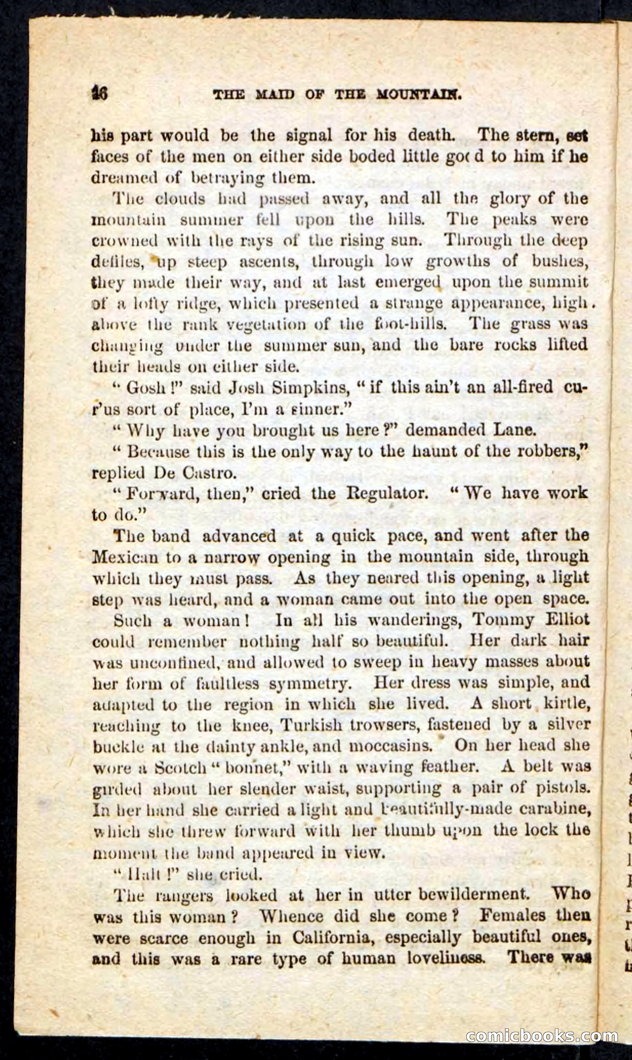 Beadle's Pocket Novels: Maid of the Mountain — page 42 of 100