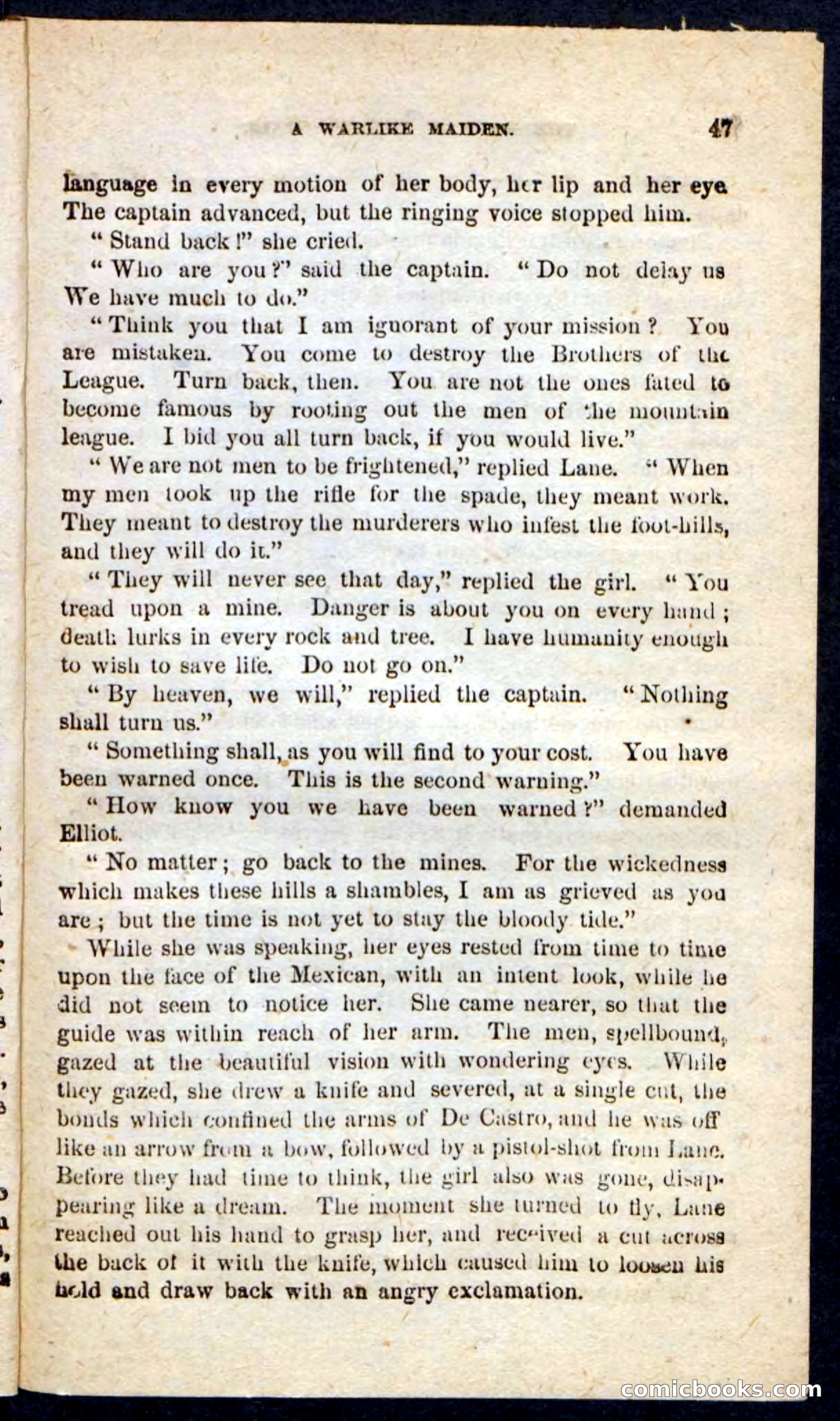 Beadle's Pocket Novels: Maid of the Mountain — page 43 of 100