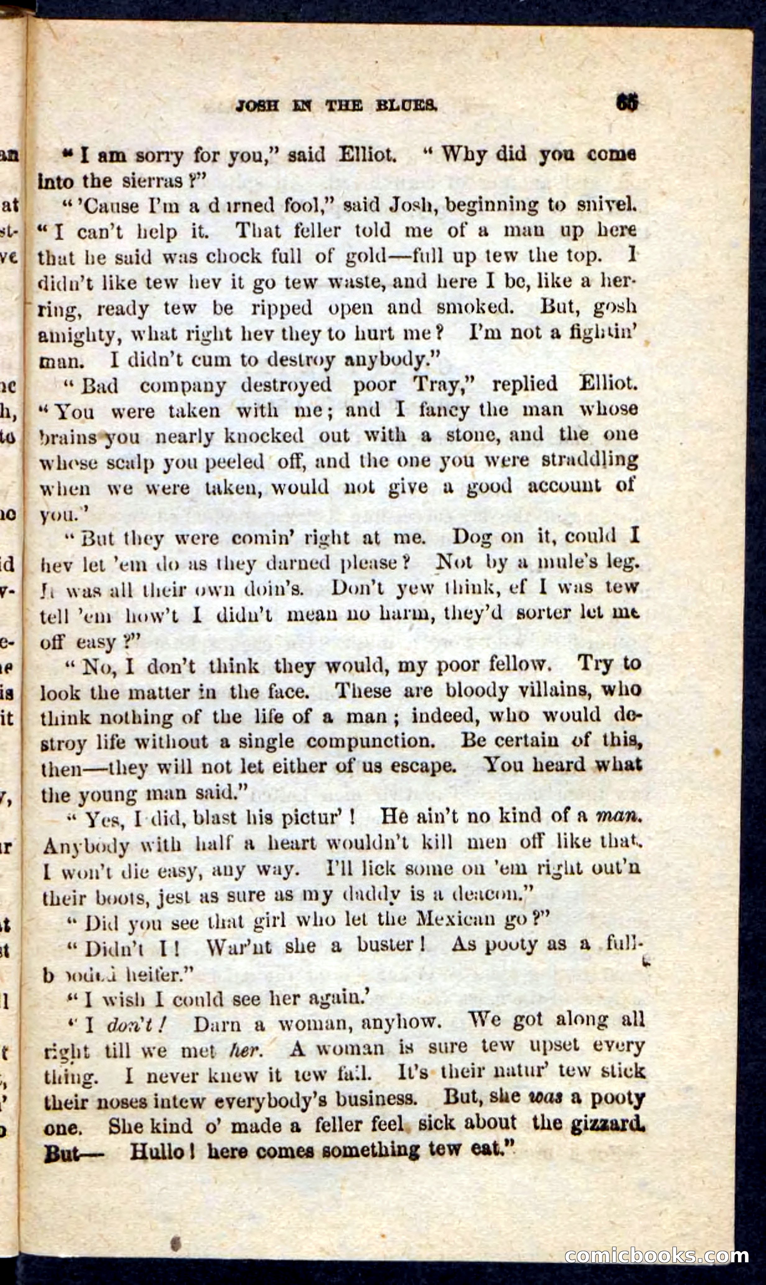 Beadle's Pocket Novels: Maid of the Mountain — page 61 of 100