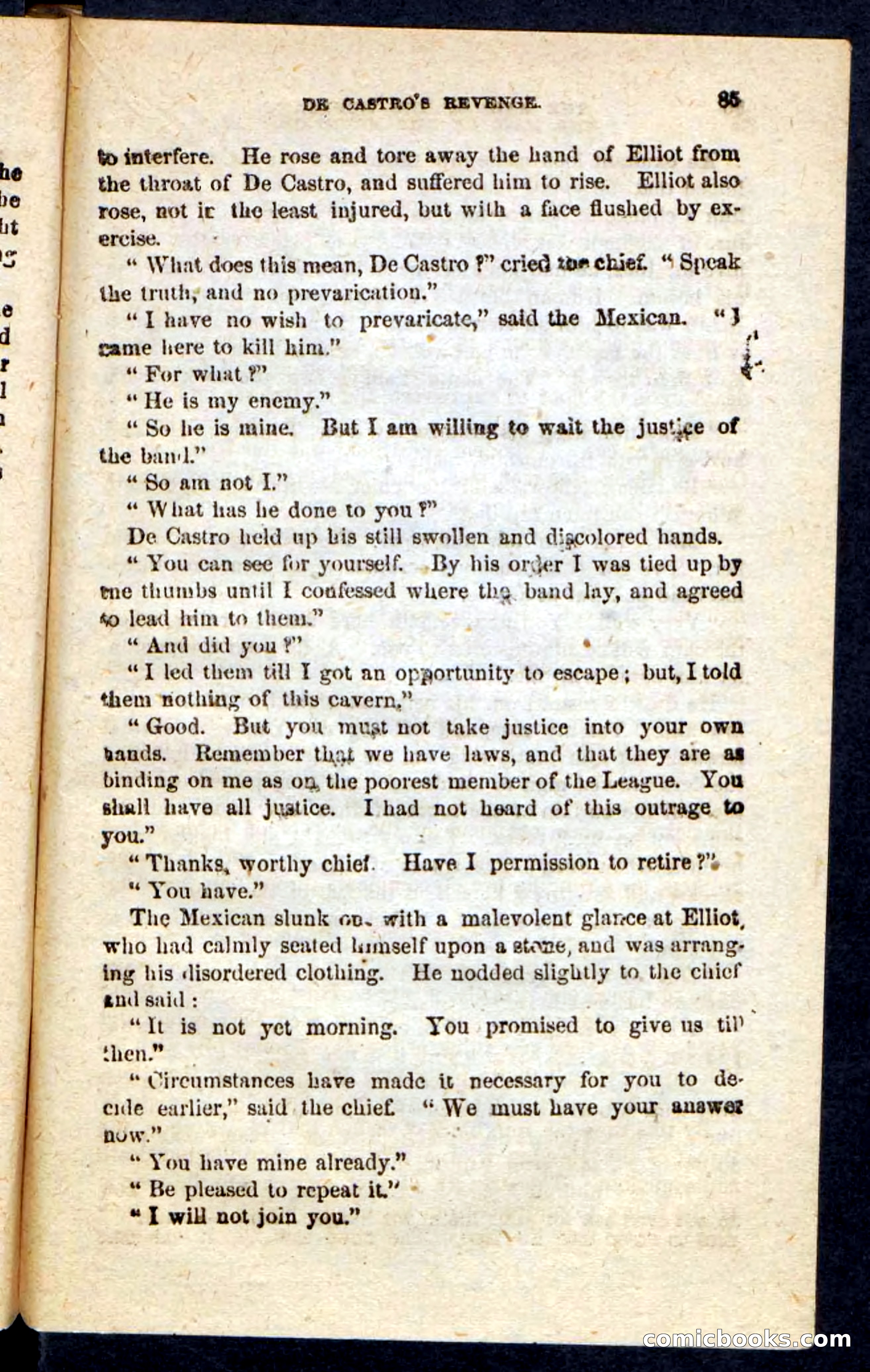 Beadle's Pocket Novels: Maid of the Mountain — page 81 of 100