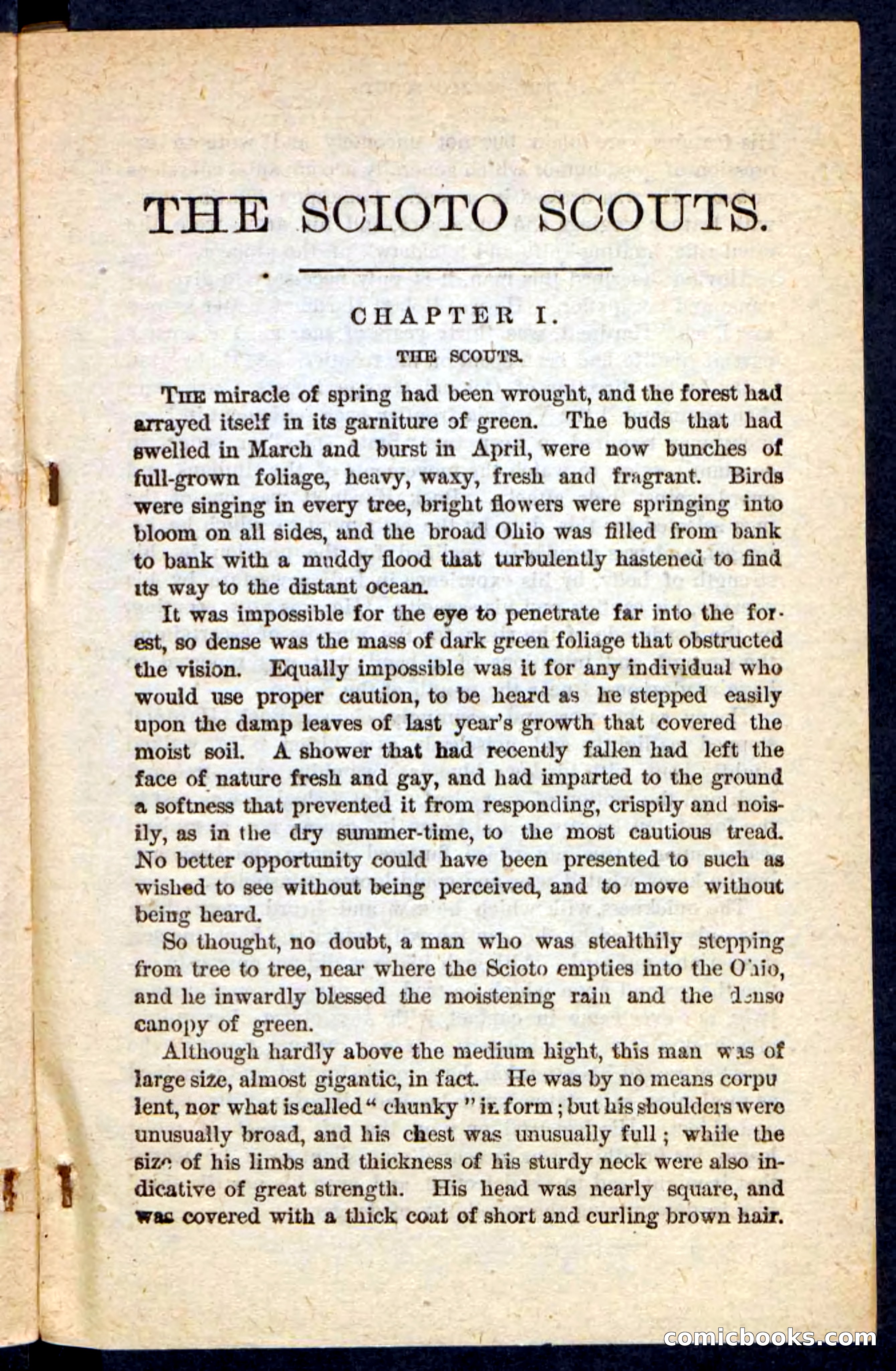 Beadle's Pocket Novels: The Scioto Scouts — page 5 of 100