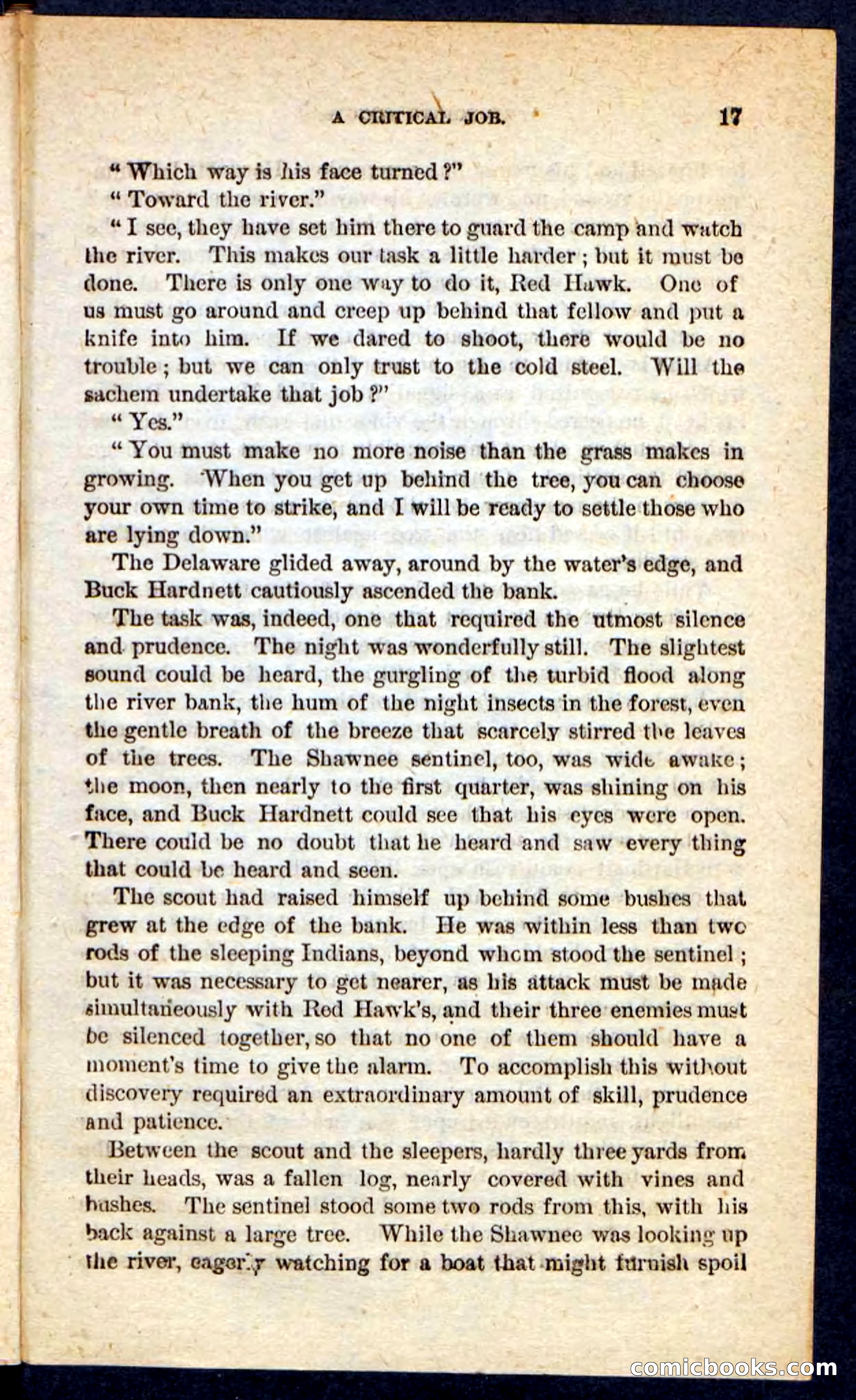 Beadle's Pocket Novels: The Scioto Scouts — page 13 of 100