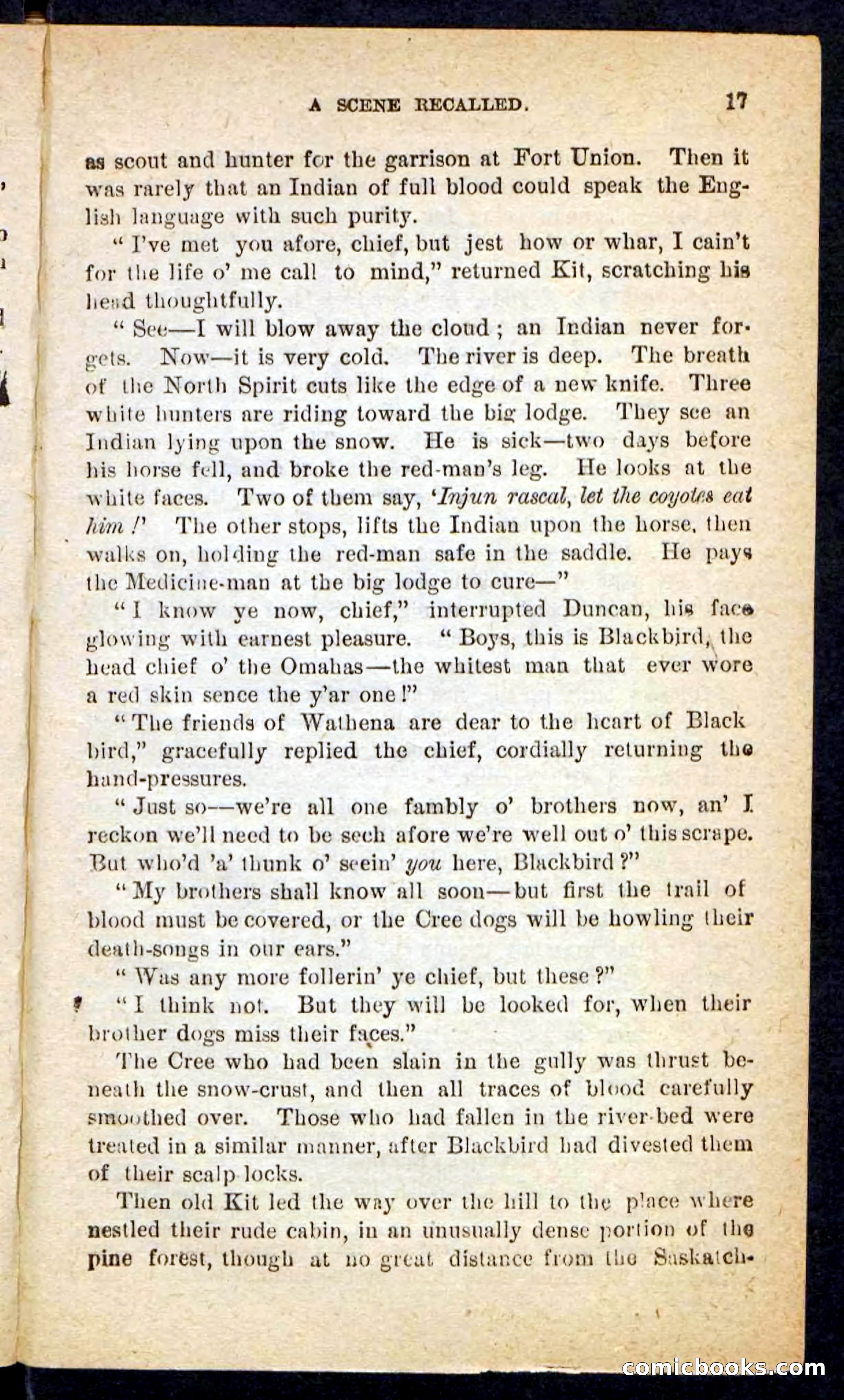 The Lone Chief — page 13 of 100